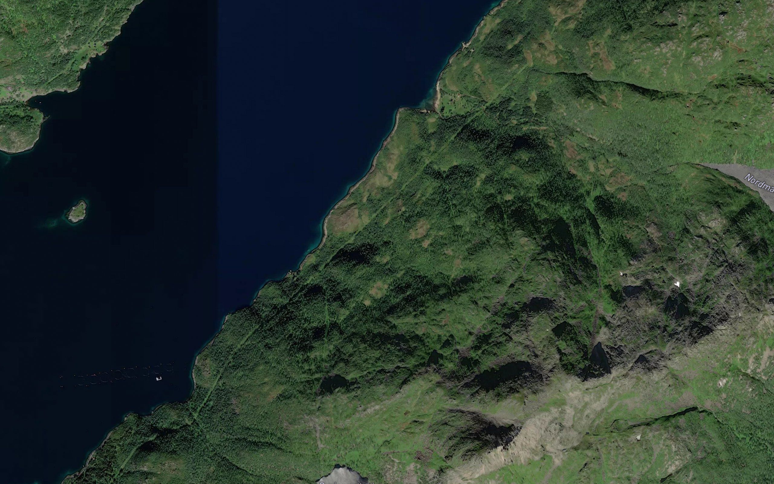 Skavvikelva