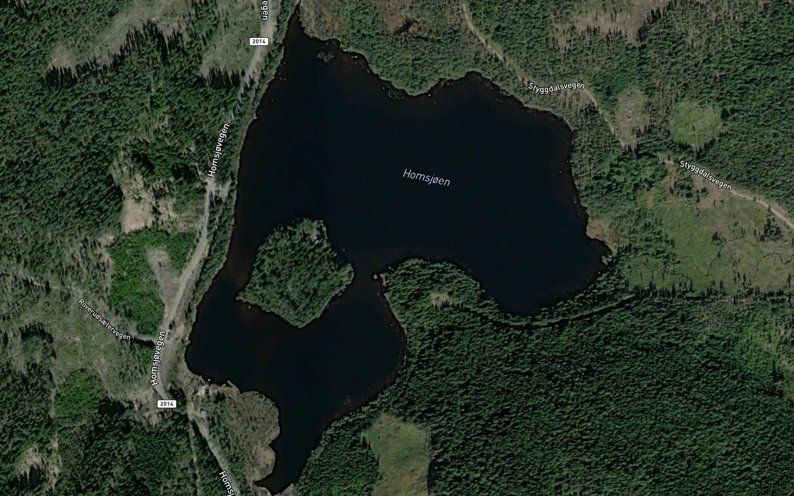 Homsjoen
