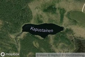 Kapustainen
