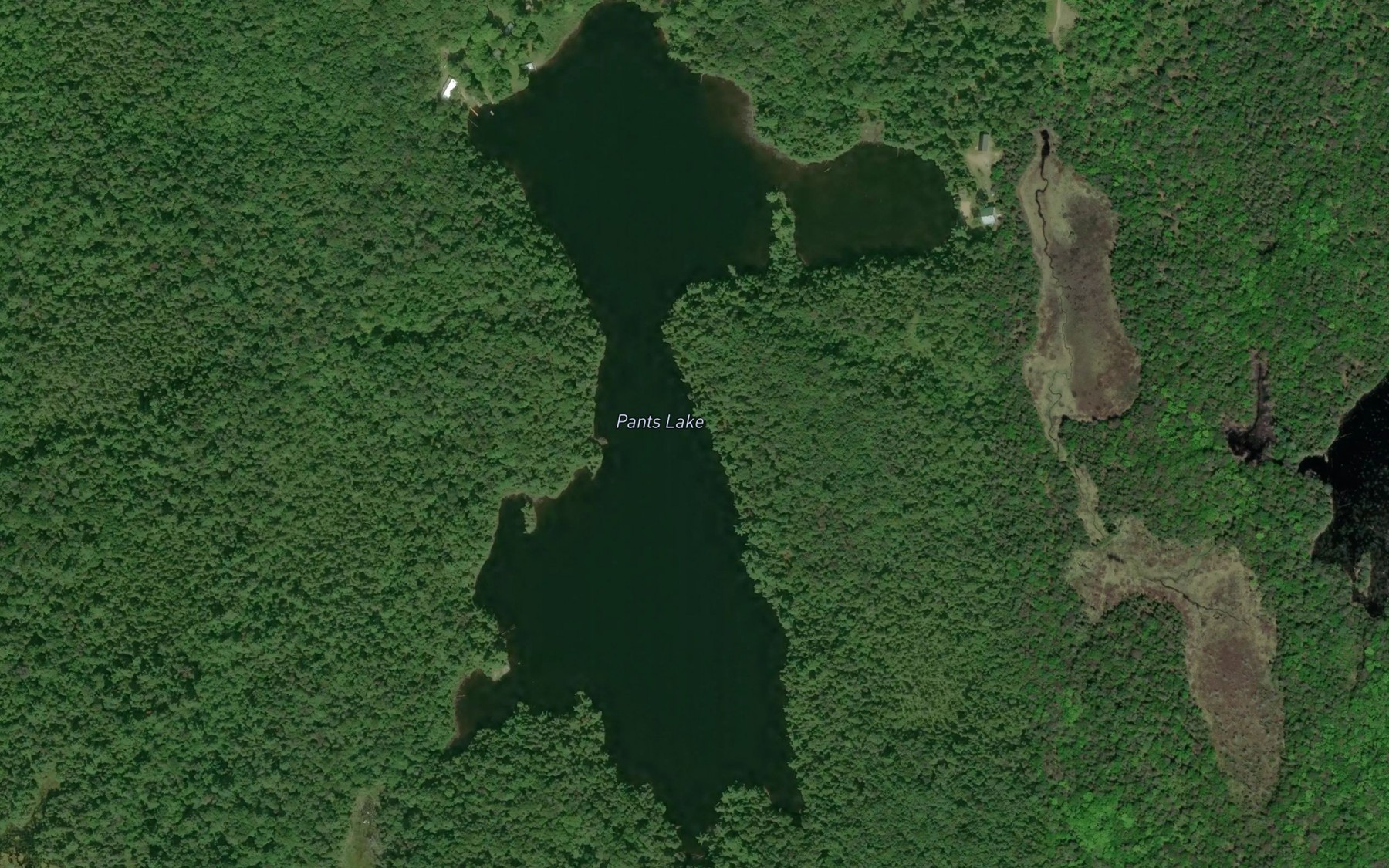 Satellite map of the Pants Lake