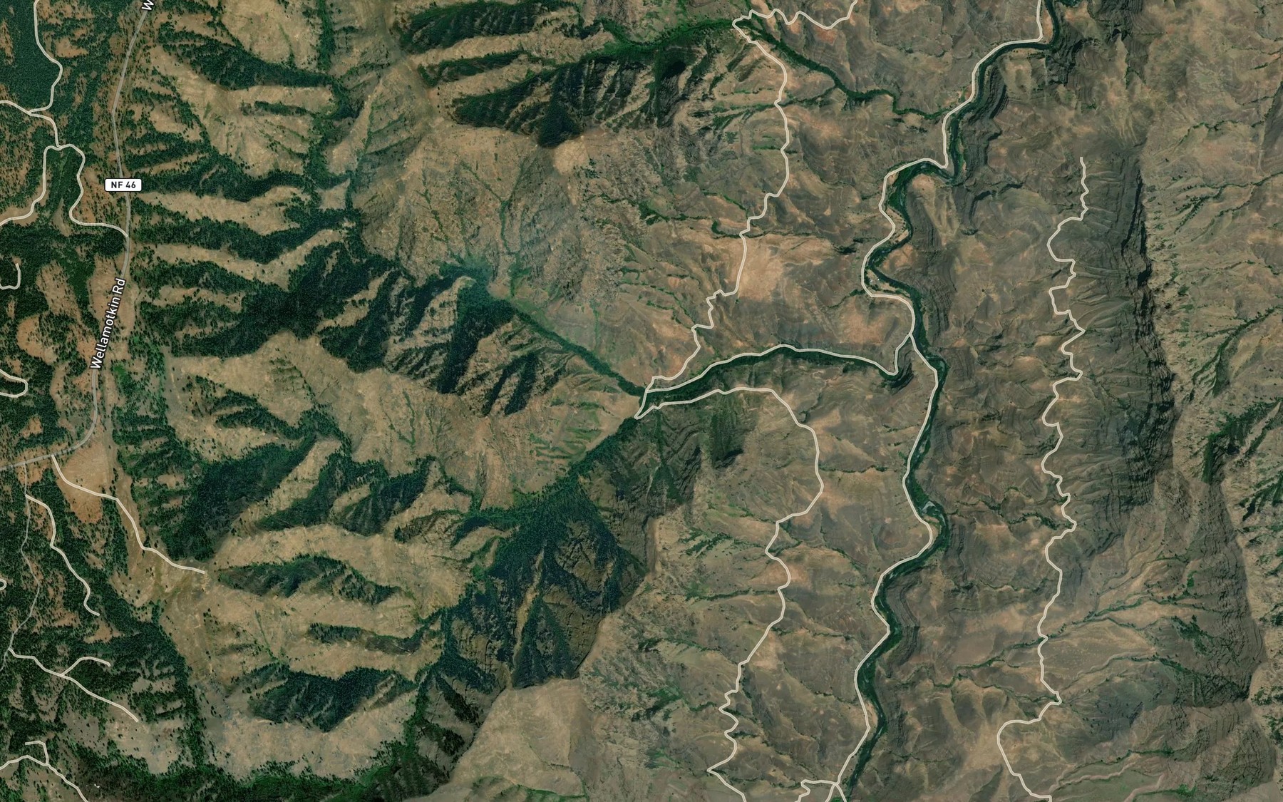 Satellite map of the Dodson Fork