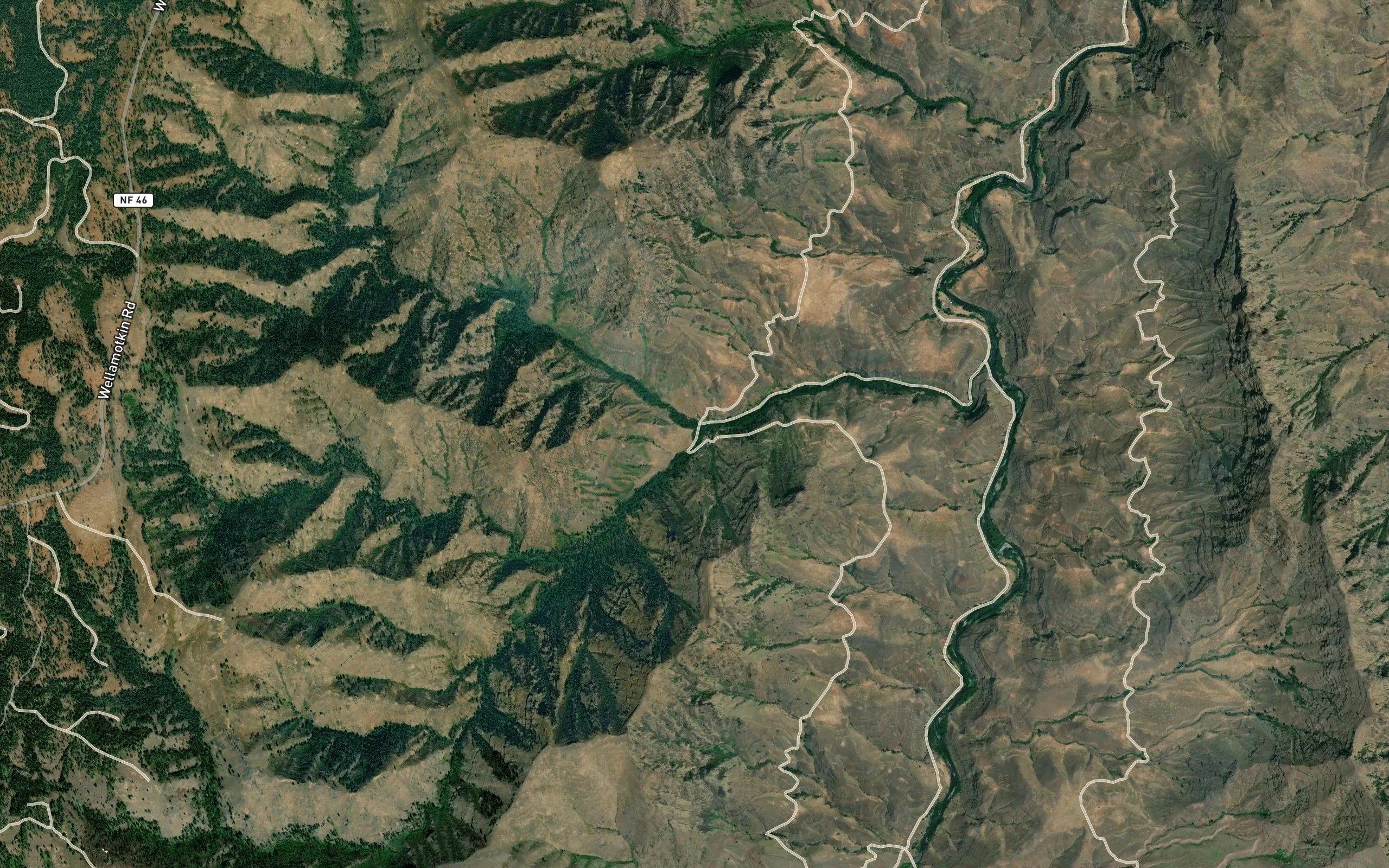 Dodson Fork