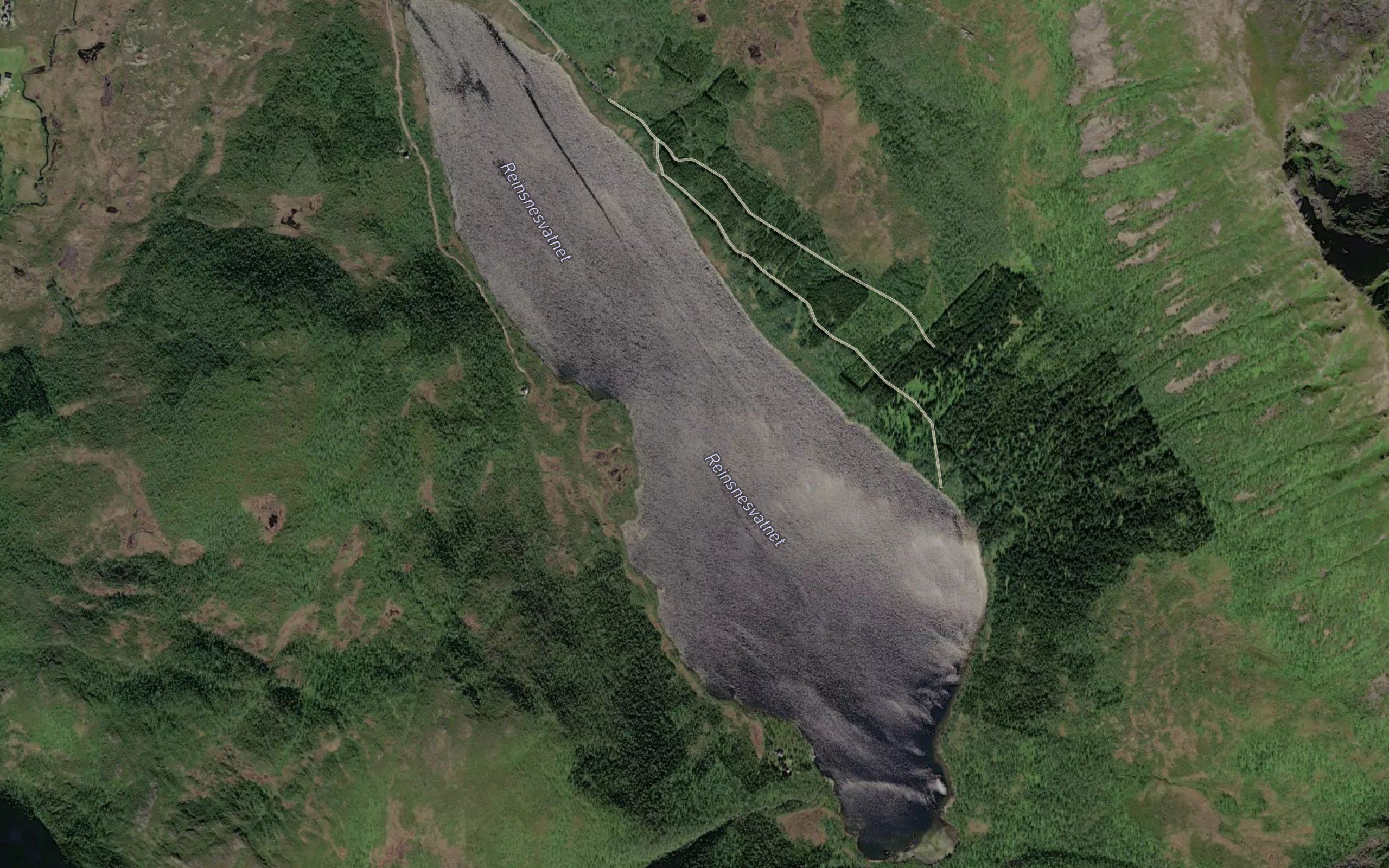 Reinsnesvatnet