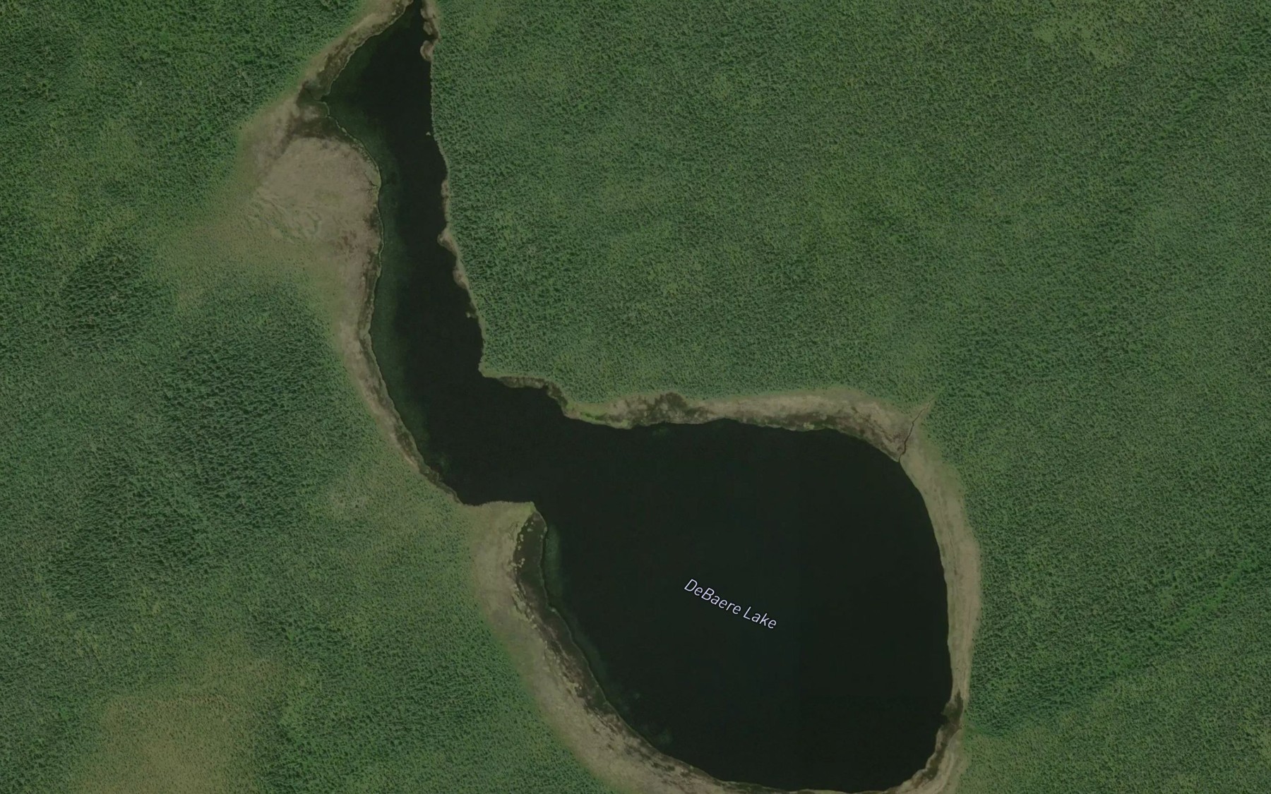 Satellite map of the DeBaere Lake