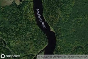 Goldwin Creek