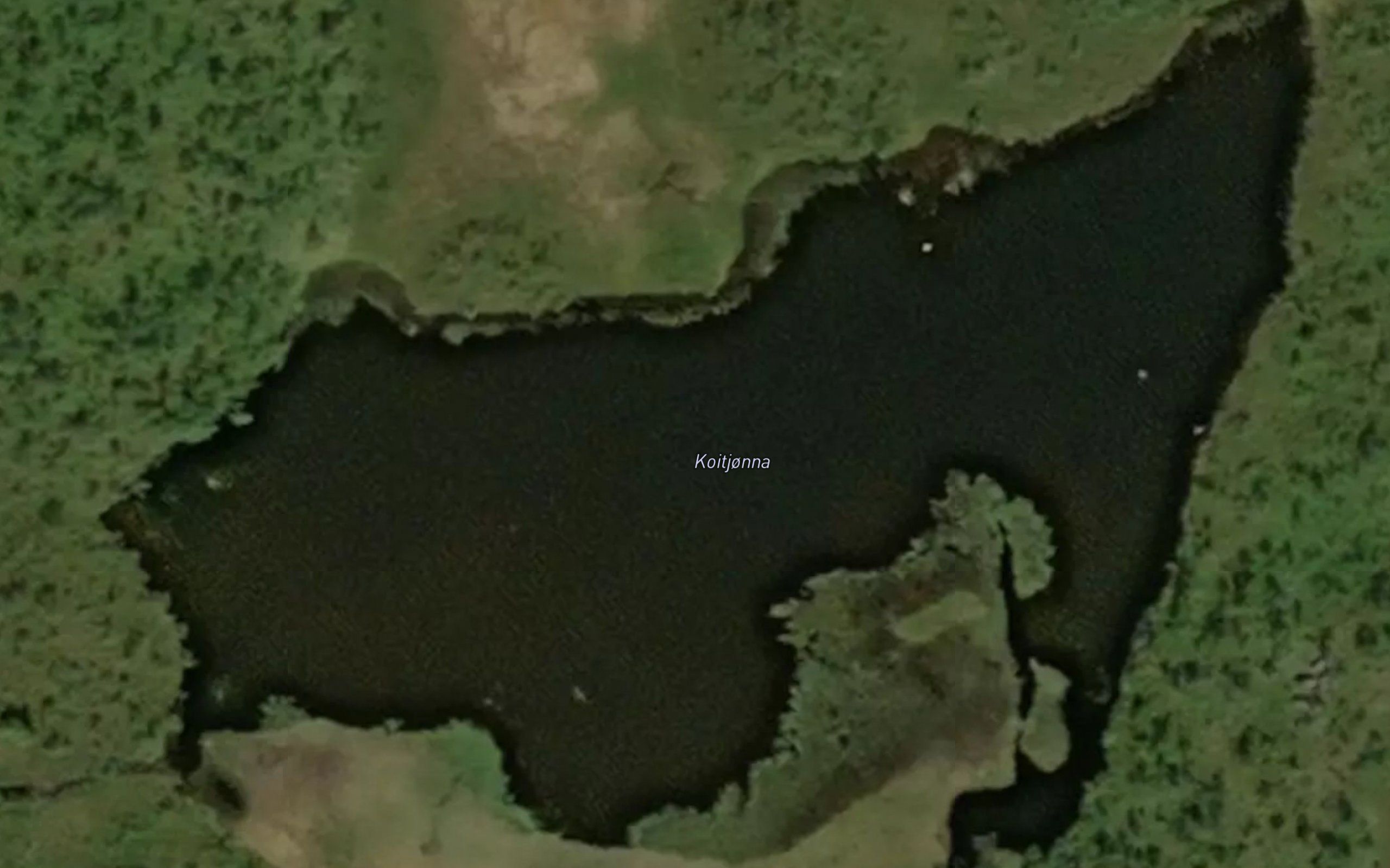 Koitjorna