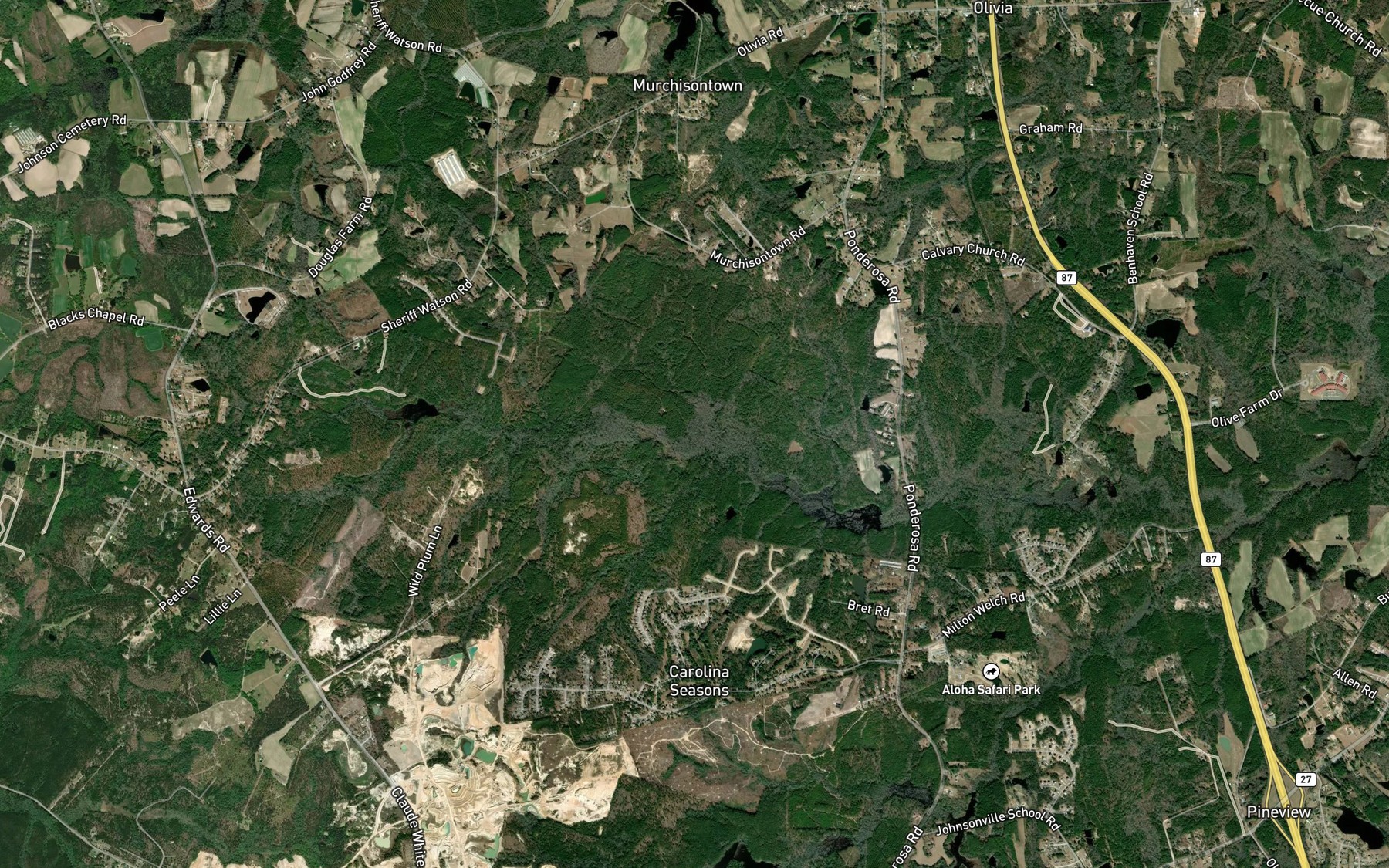 Satellite map of the Lower Run