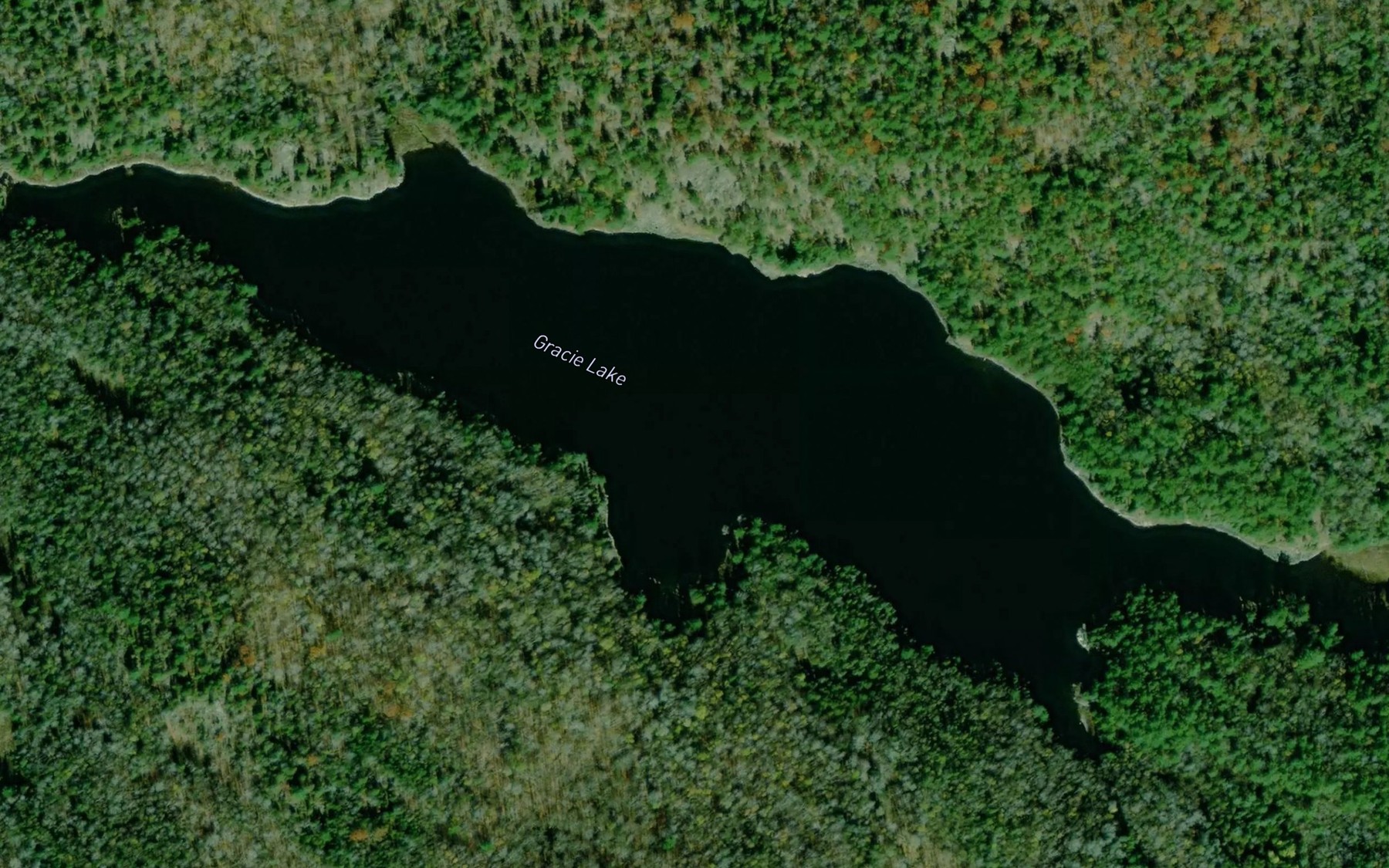 Satellite map of the Gracie Lake