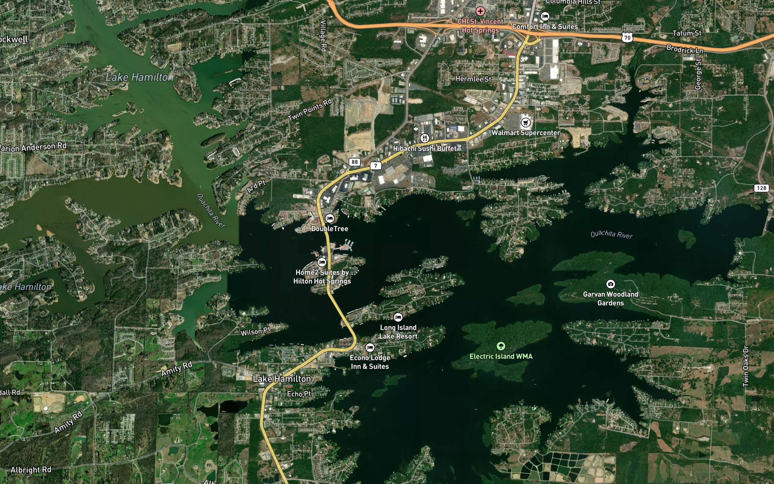 Lake Hamilton