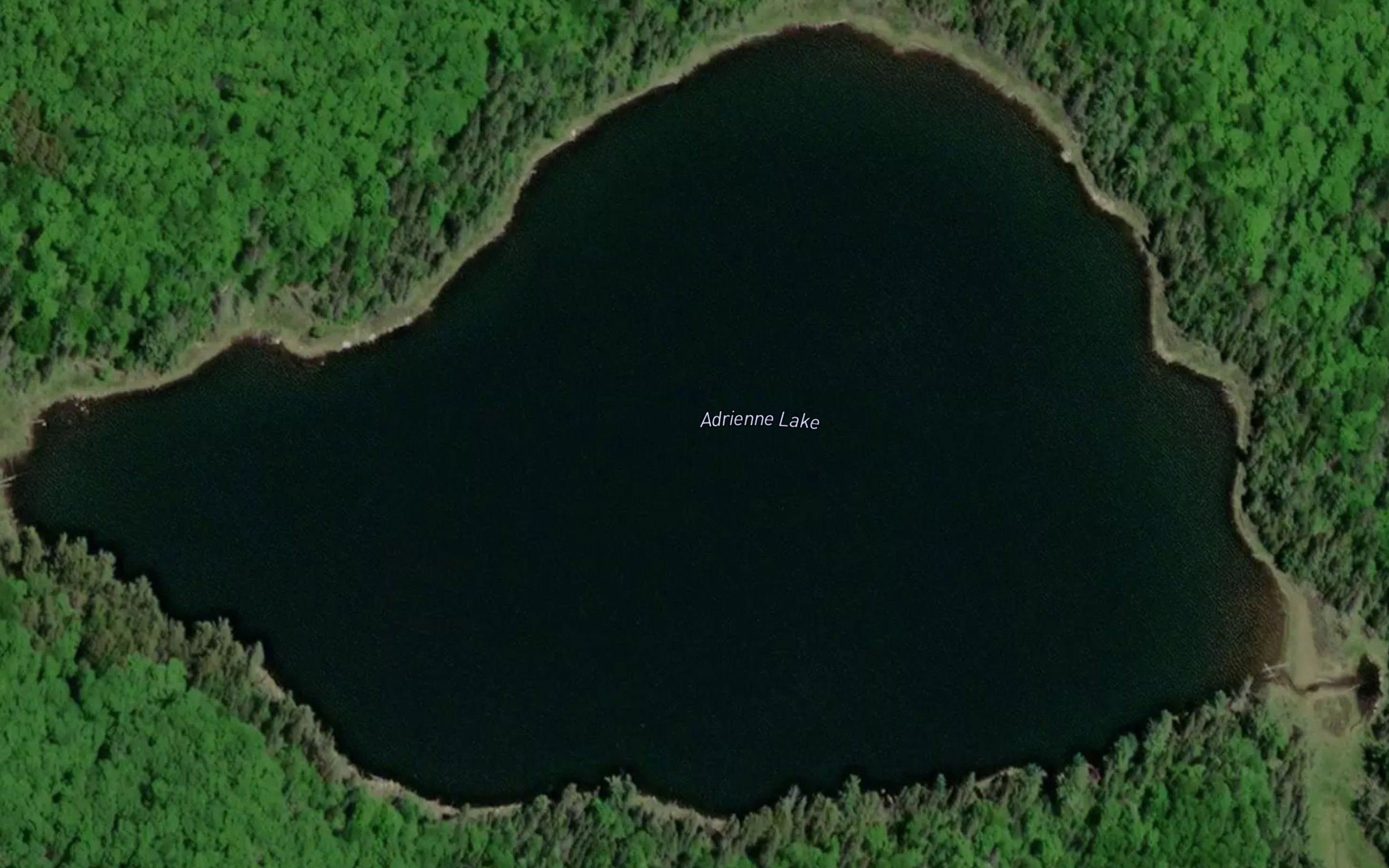Adrienne Lake