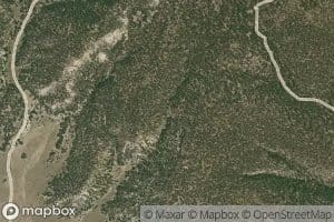 Todd Browning Spring