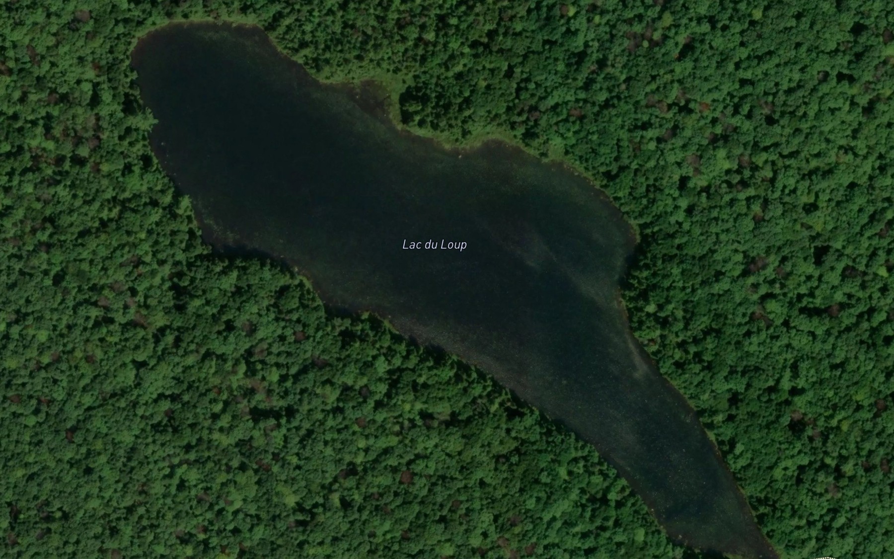 Satellite map of the Lac du Loup