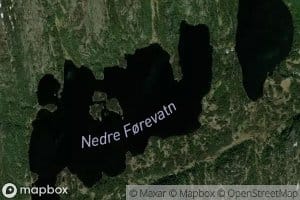 Forevatnan