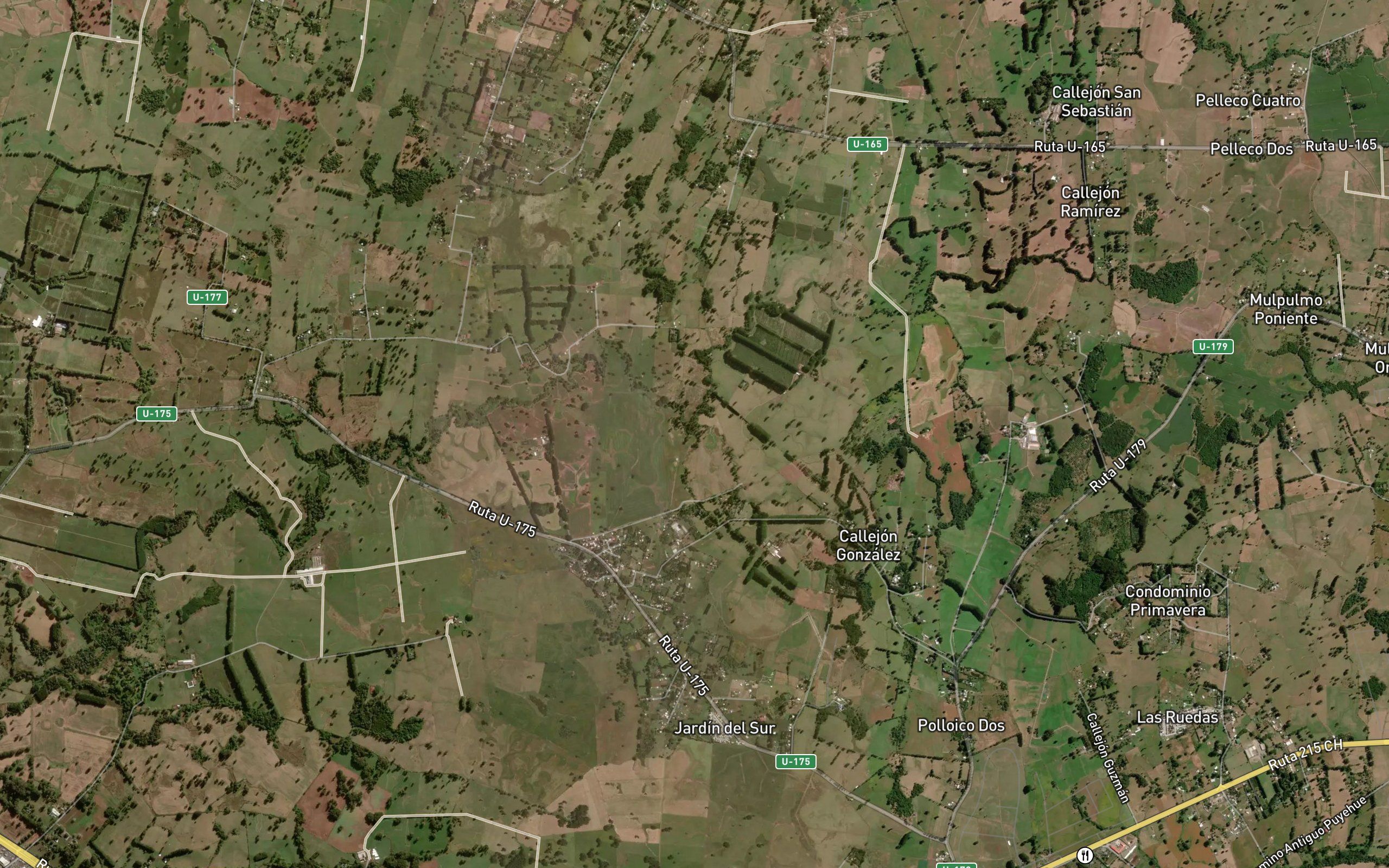 Estero Polloico