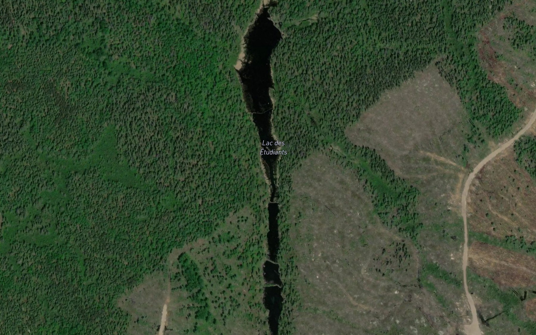 Satellite map of the Lac des Etudiants
