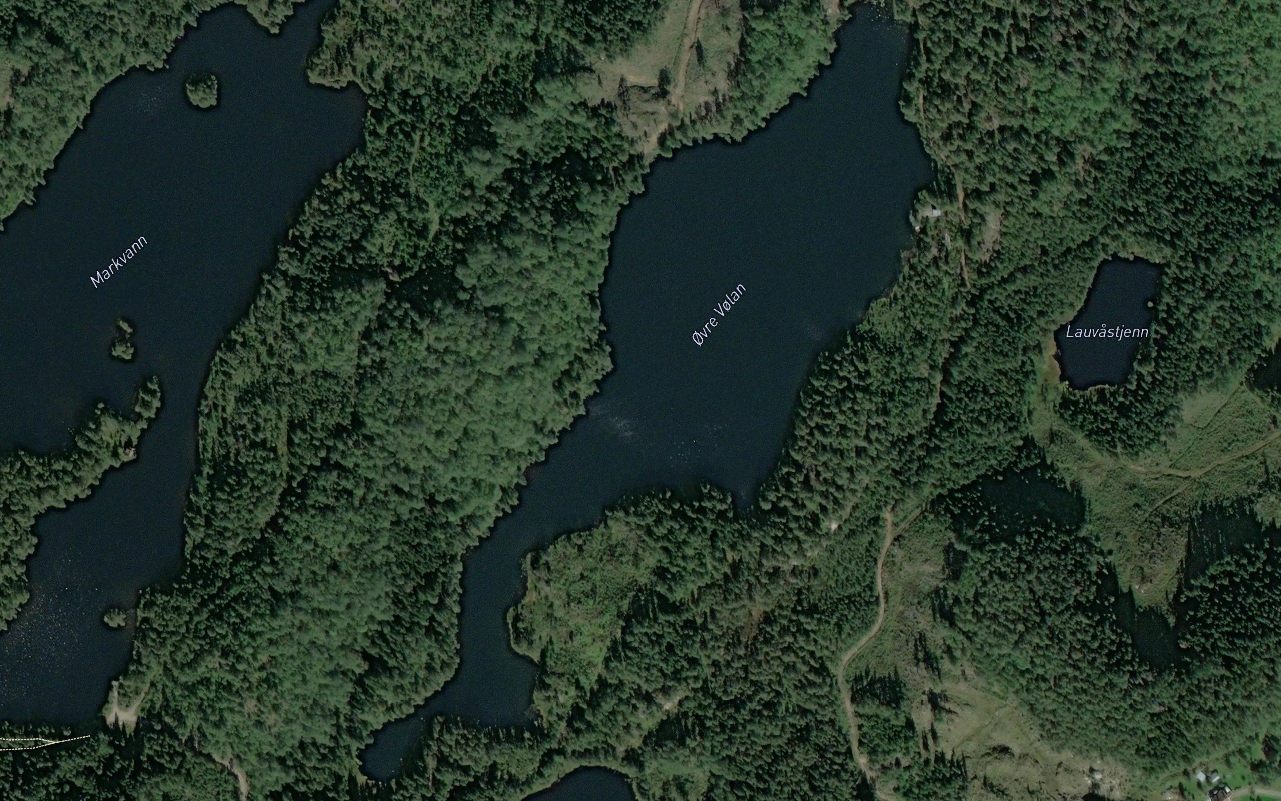 Volandstjern,nordre