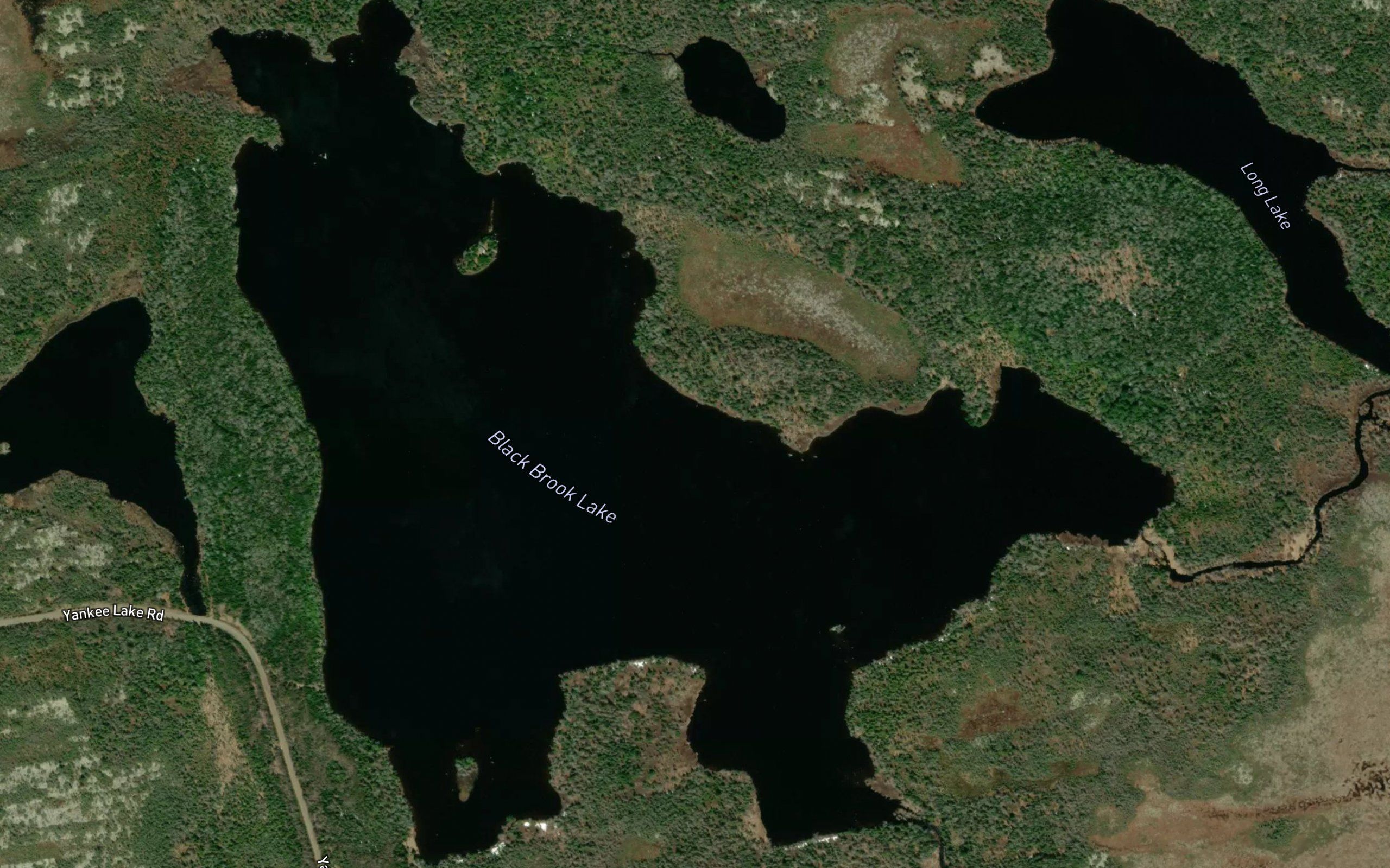 Black Brook Lake