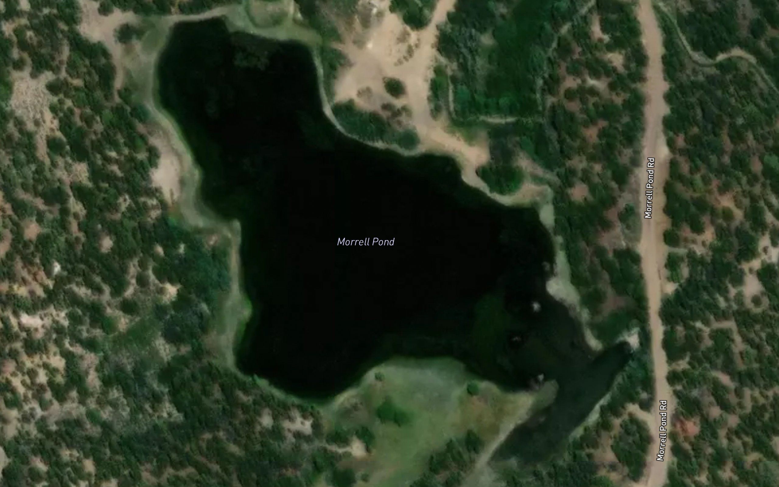 Morrell Pond