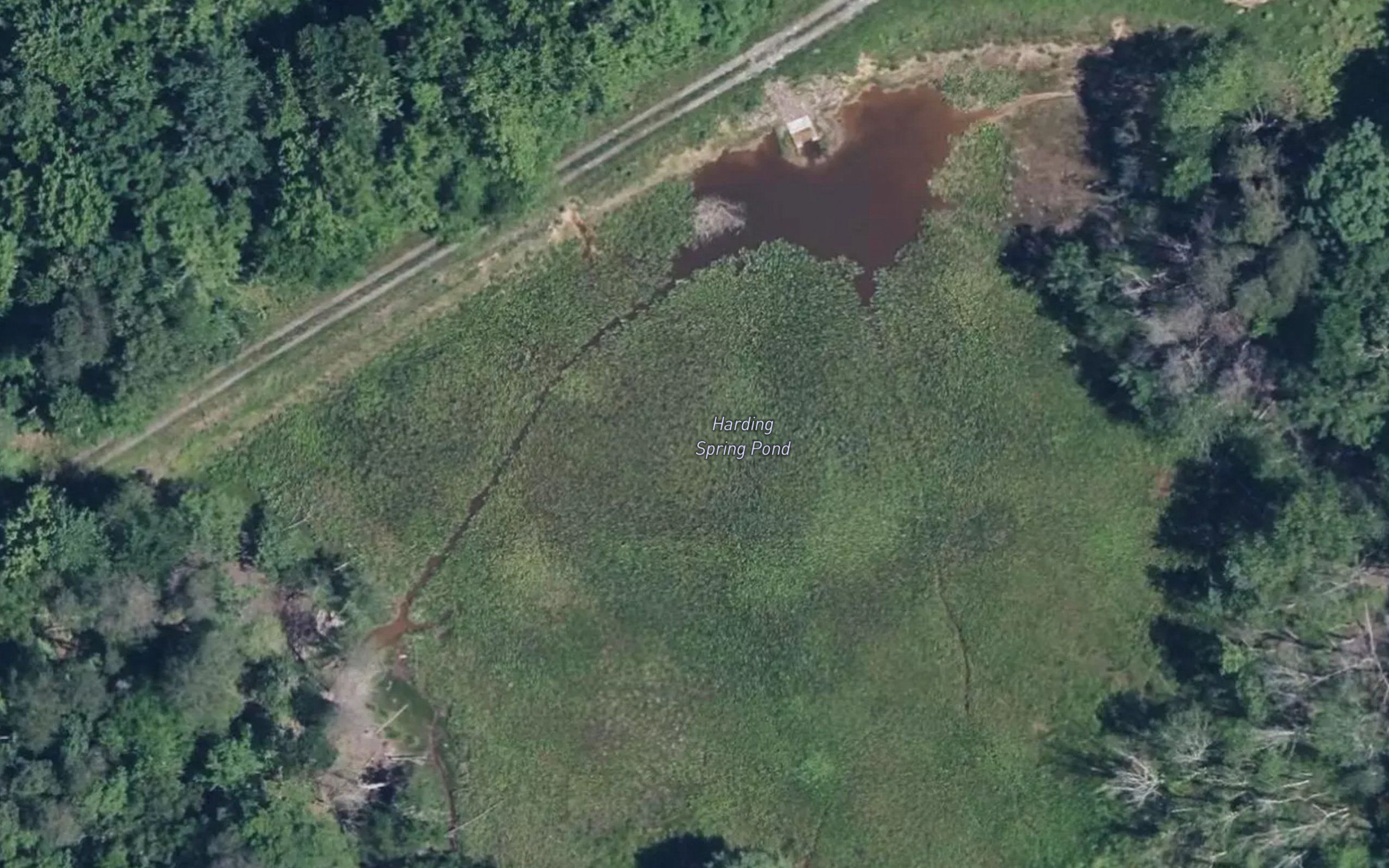 Harding Spring Pond