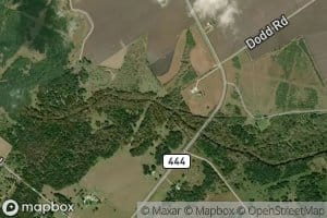 Marcado Creek