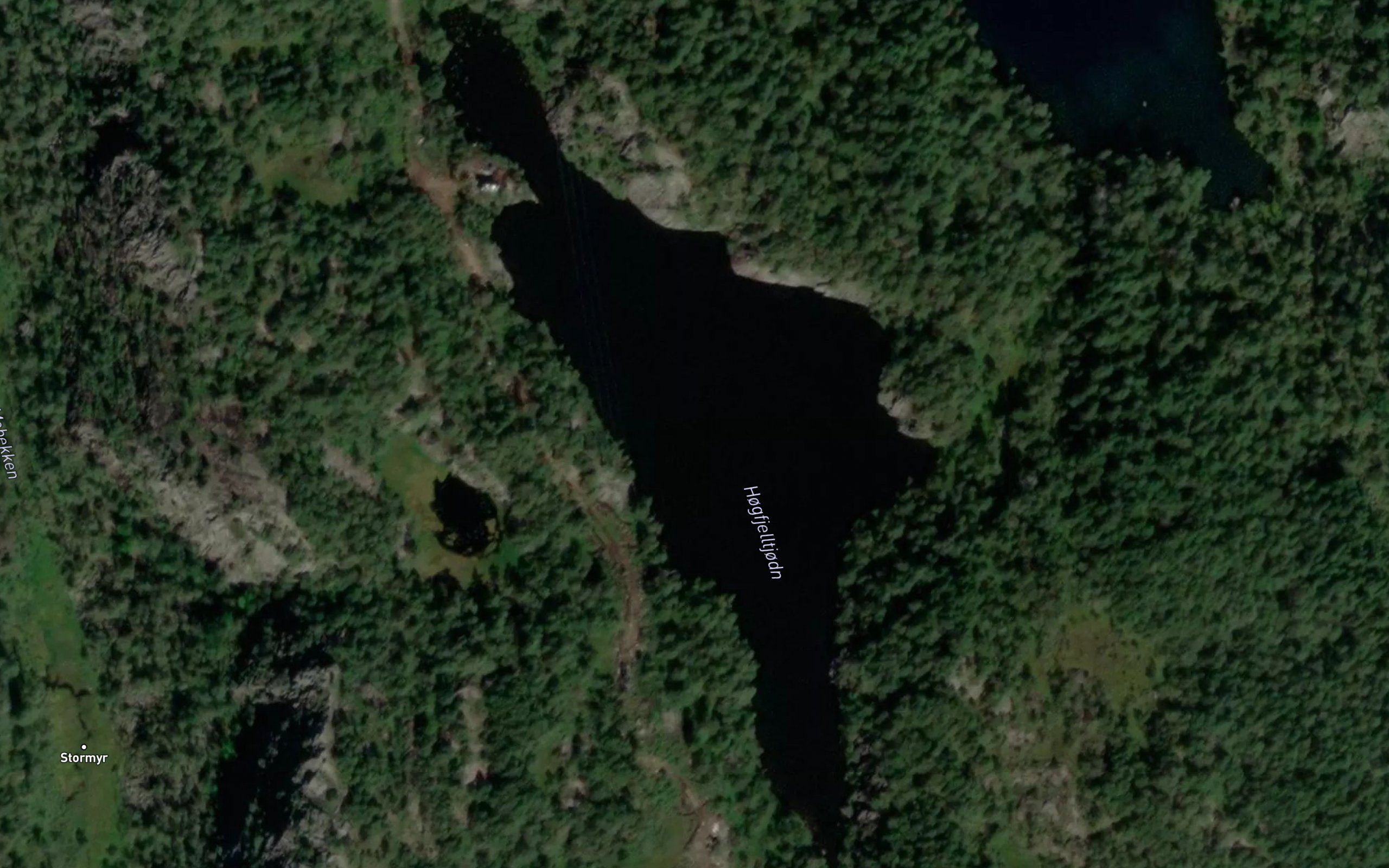 Hogfjelltjodn
