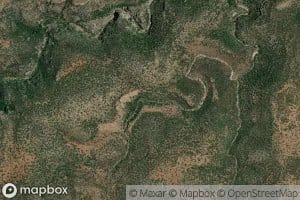 Mountain Lion Spring