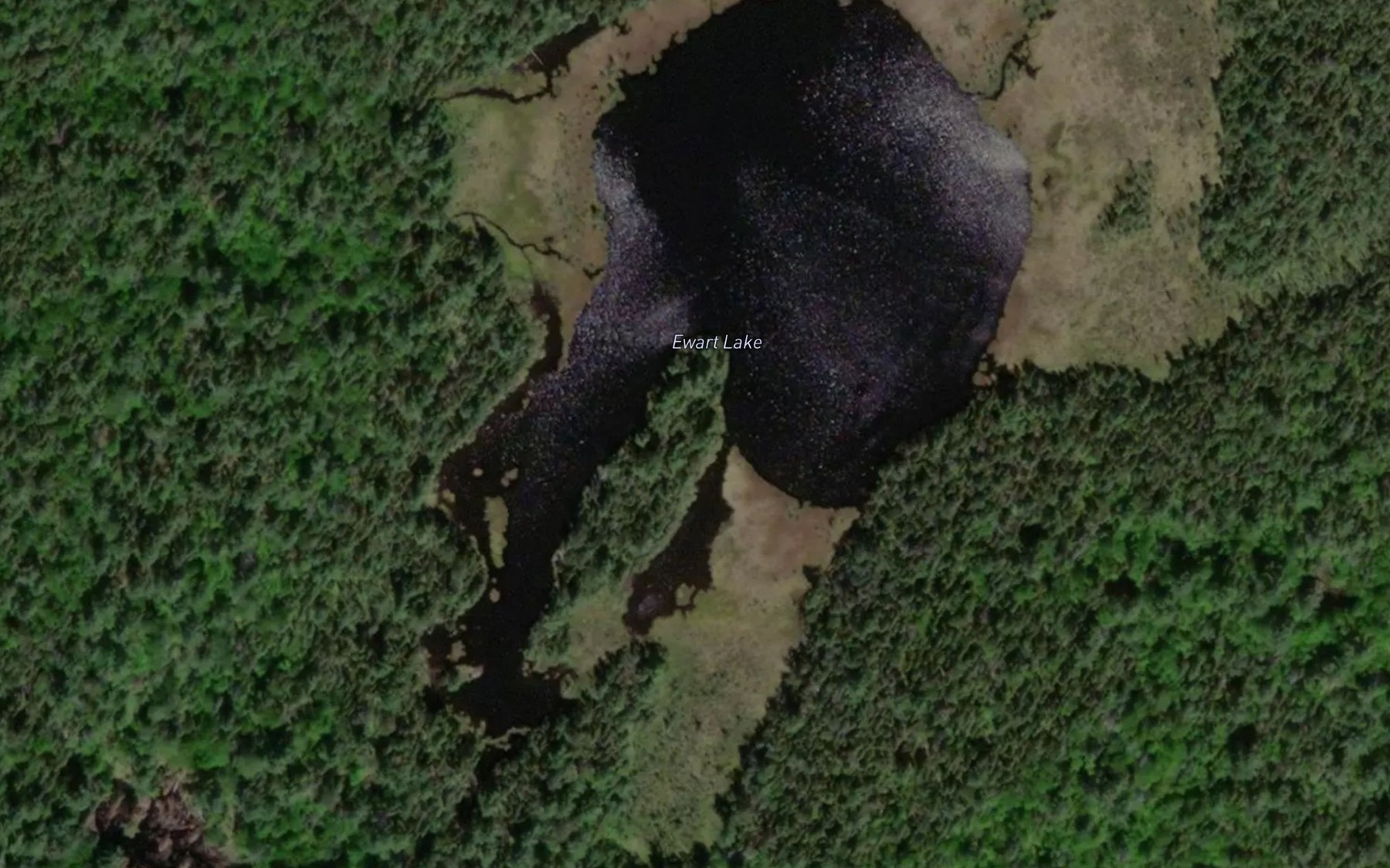 Satellite map of the Ewart Lake
