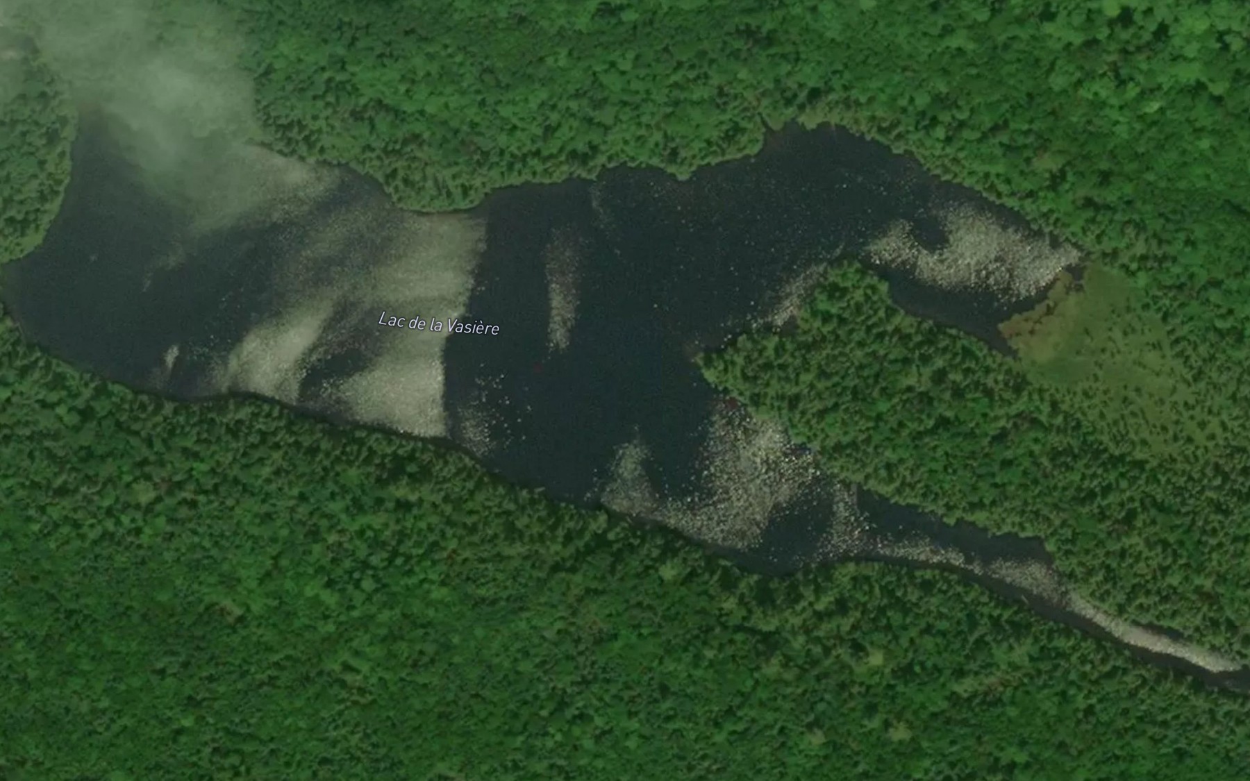 Satellite map of the Lac de la Vasiere