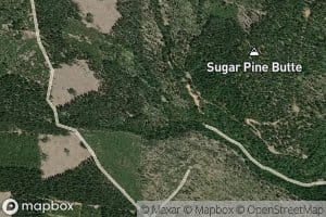 Junction Spring