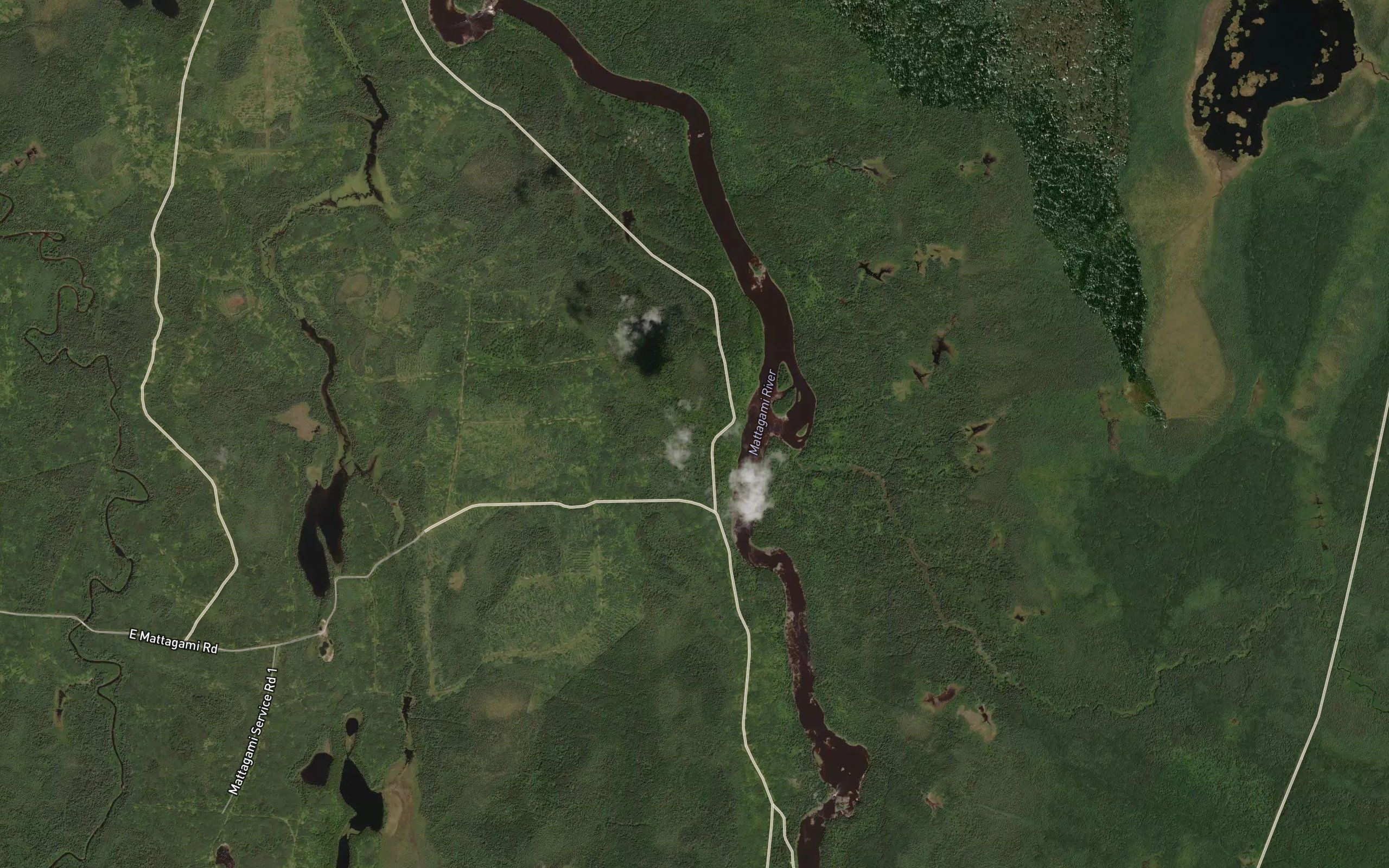 Rat Creek