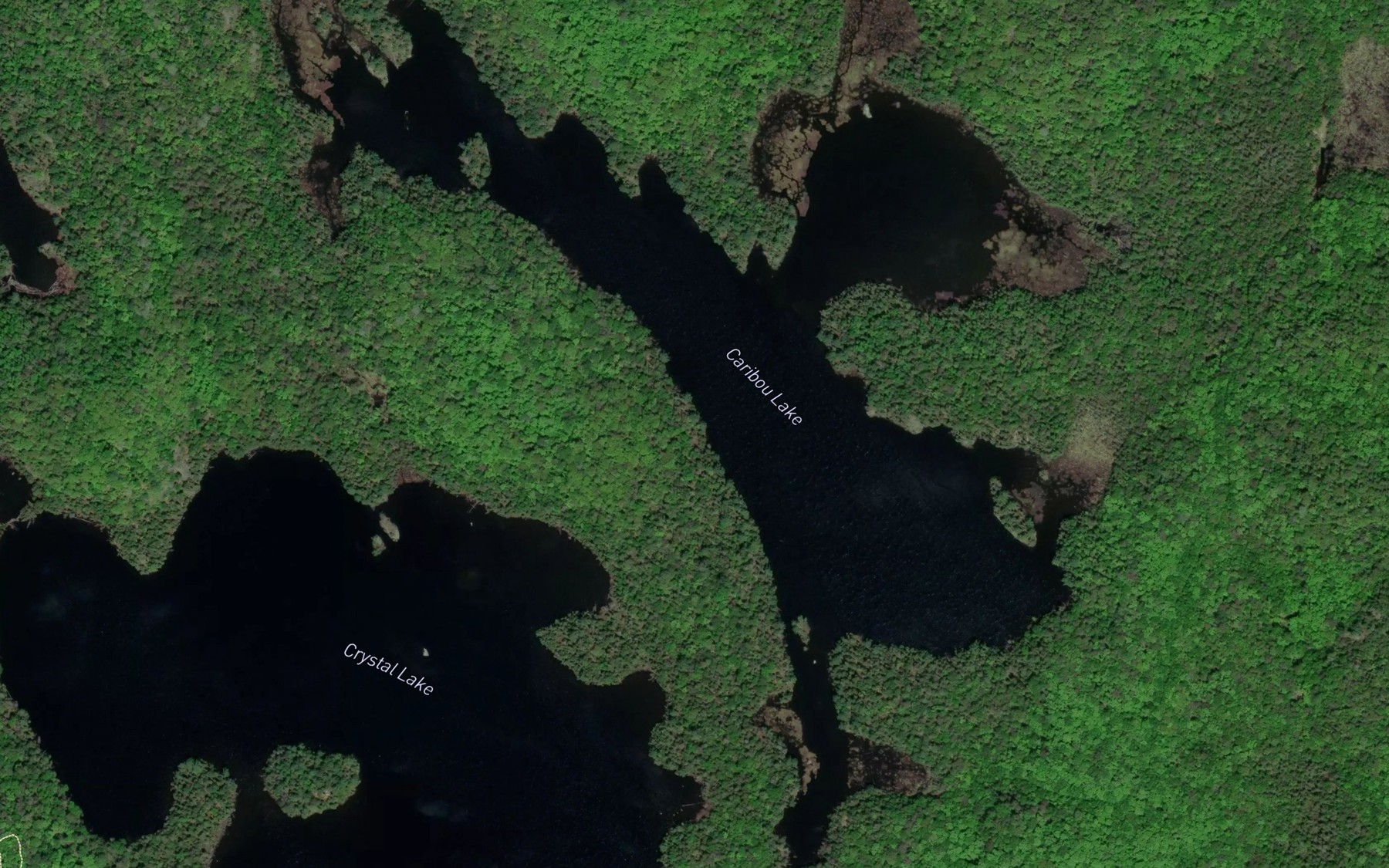 Satellite map of the Caribou Lake