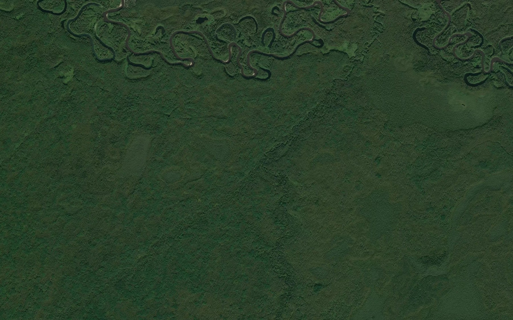 Satellite map of the Svetlaya