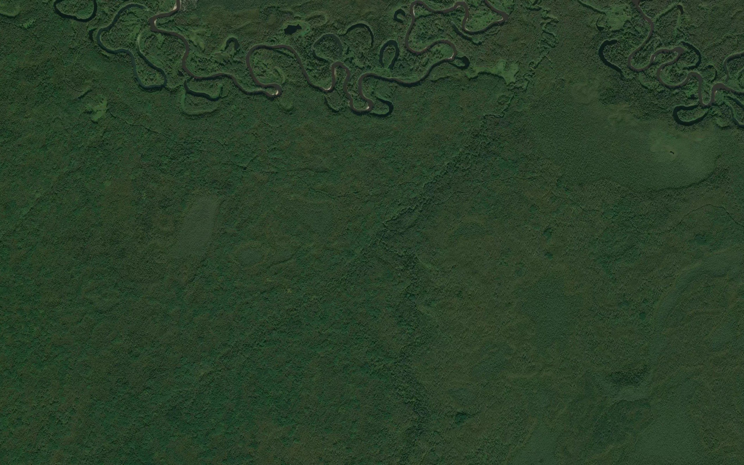 Svetlaya