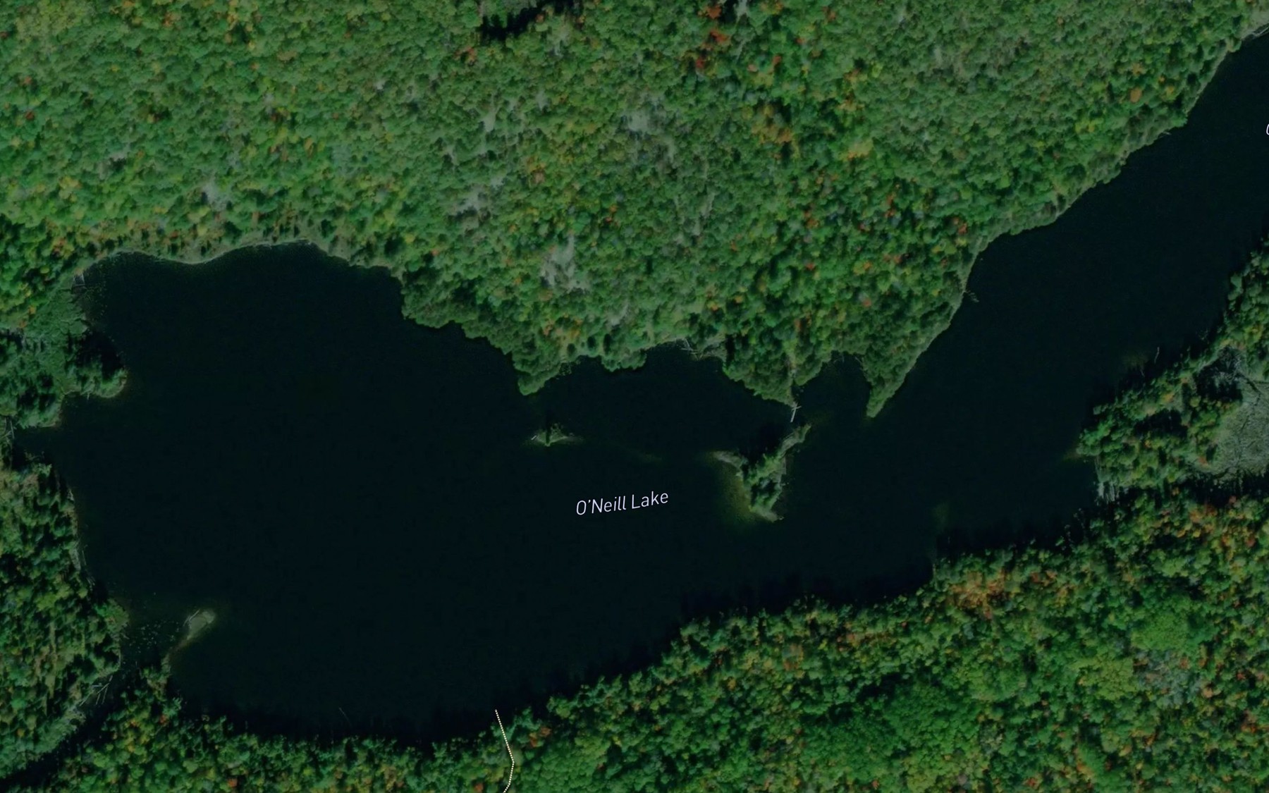Satellite map of the O'Neill Lake