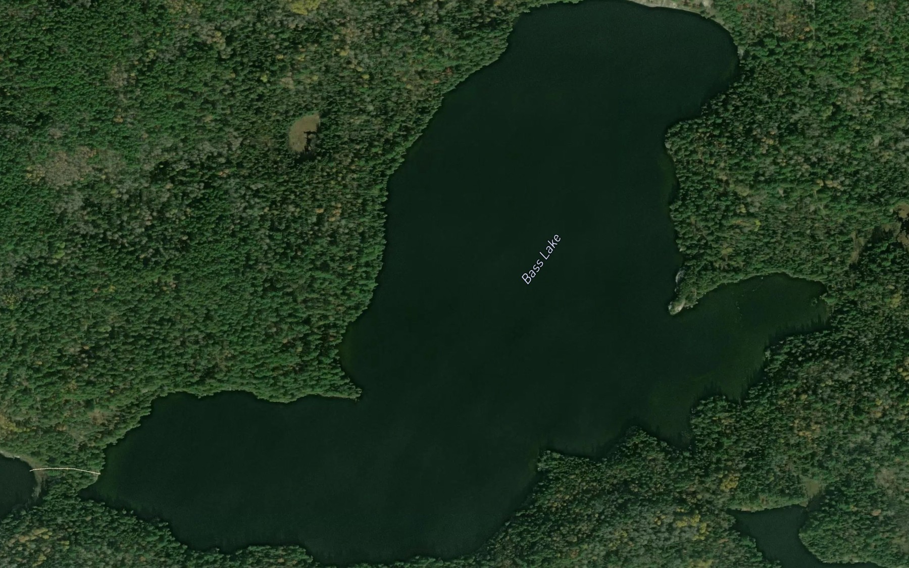 Satellite map of the Bass Lake