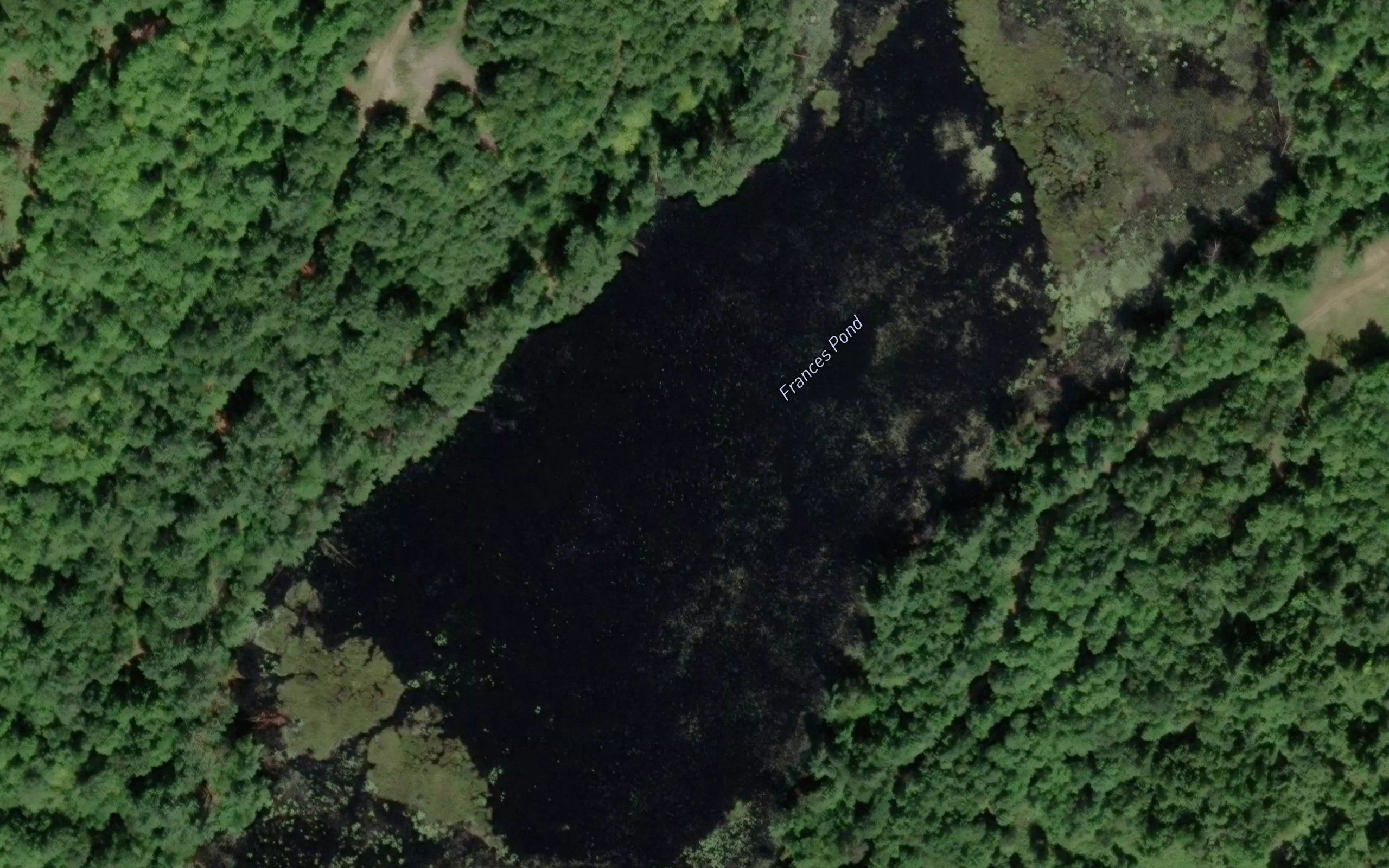 Frances Pond