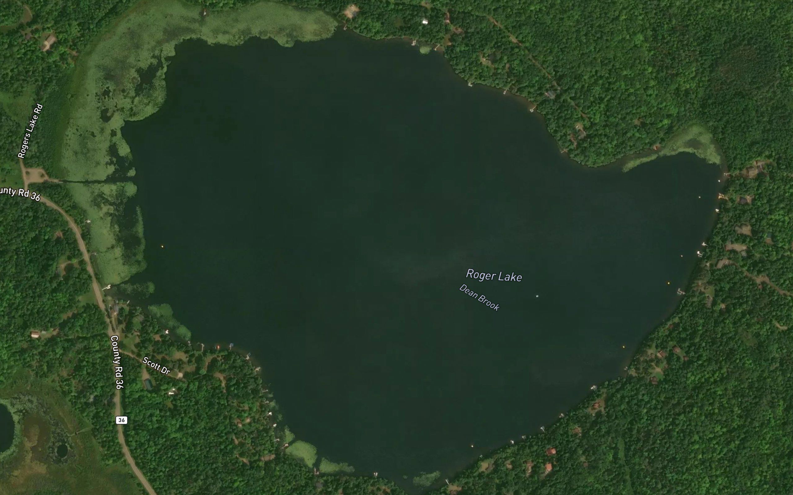 Roger Lake