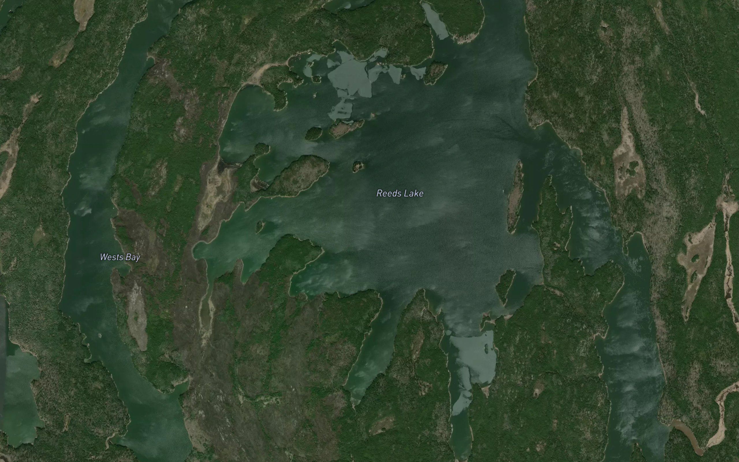 Reeds Lake