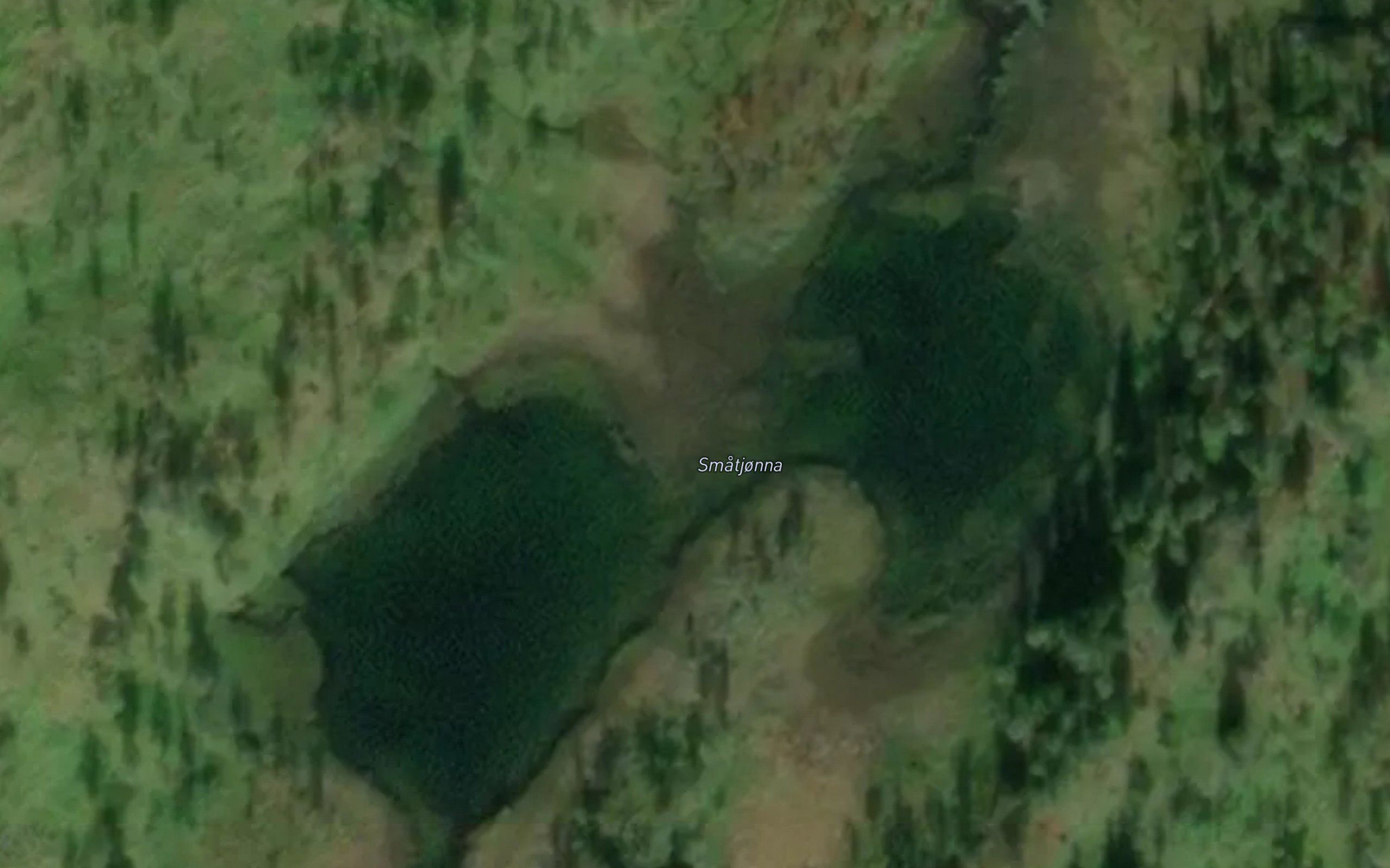 Smatjorna