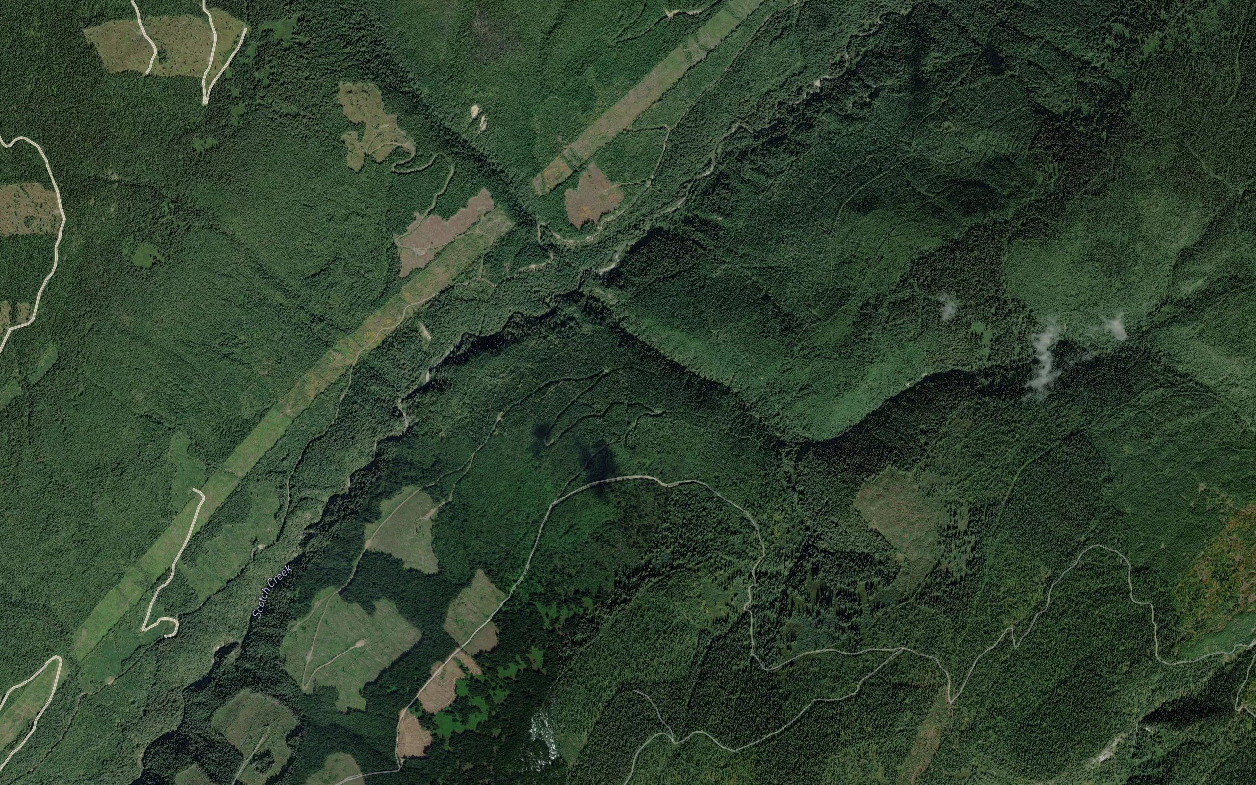 Vegetation Creek