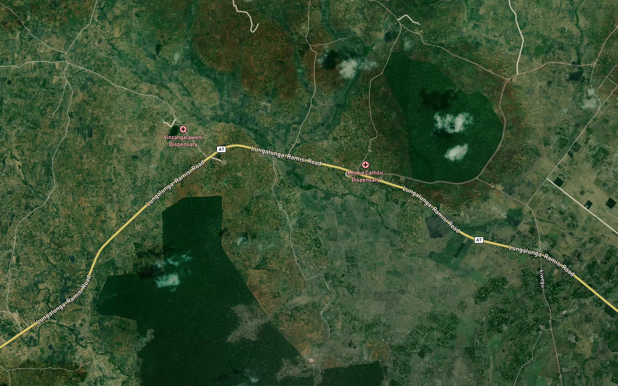 Ndzovu