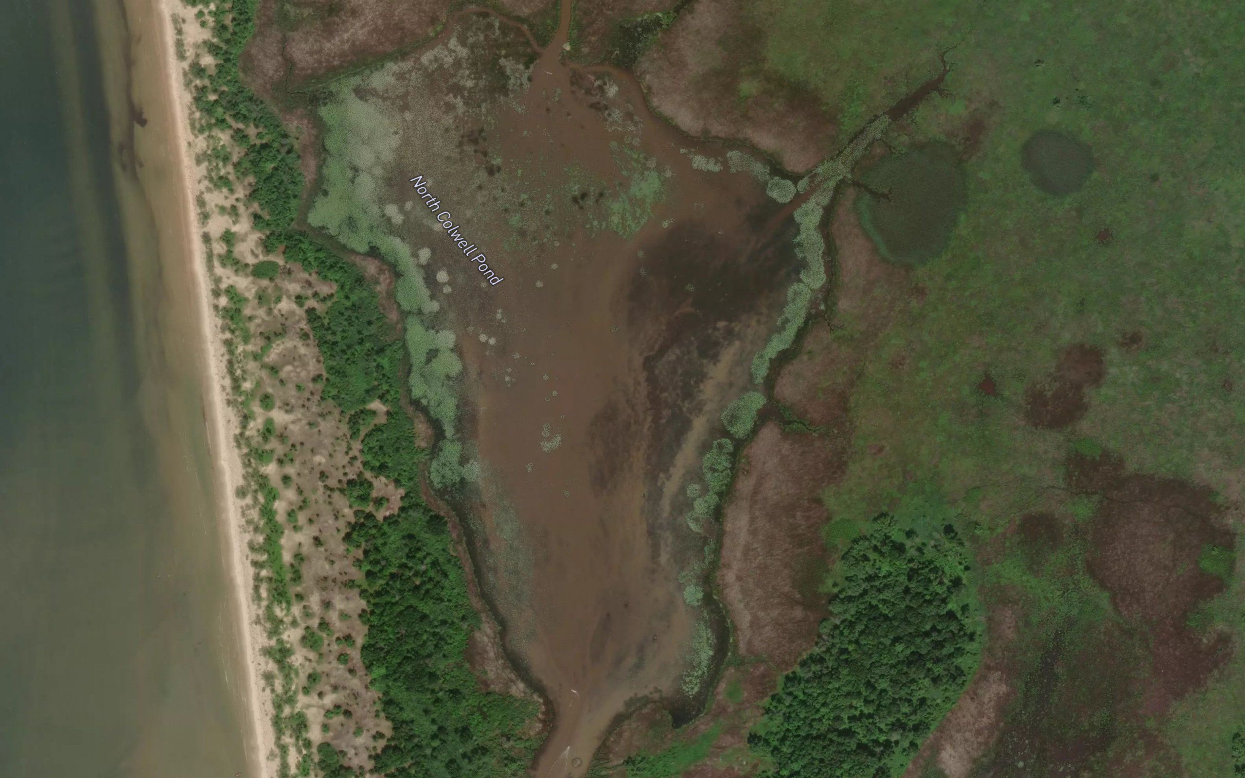 North Colwell Pond