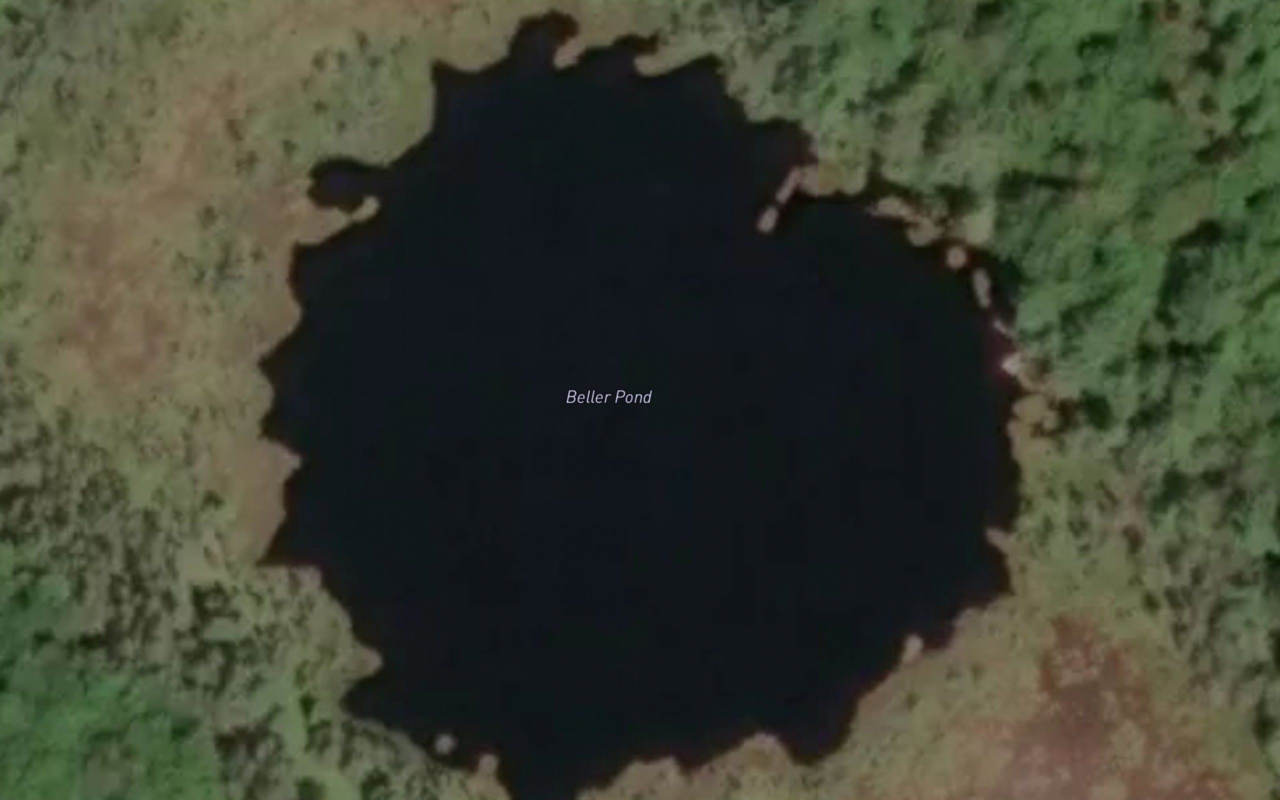Beller Pond