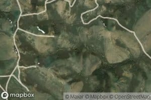 Skunk Cabbage Spring