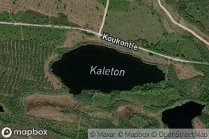Kaleton