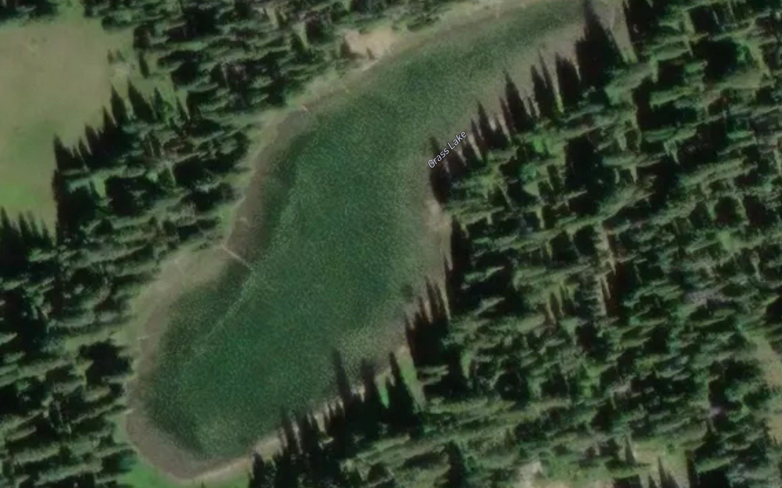 Grass Lake