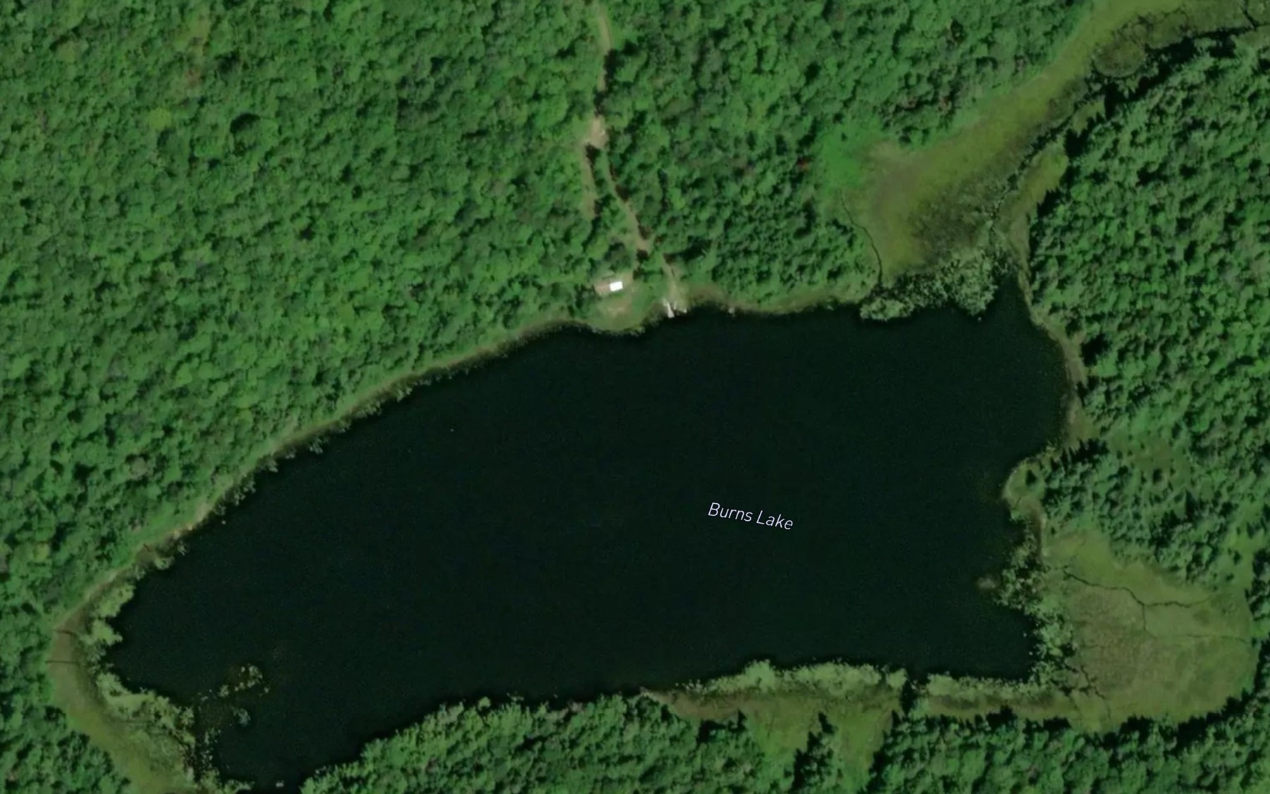 Satellite map of the Burns Lake
