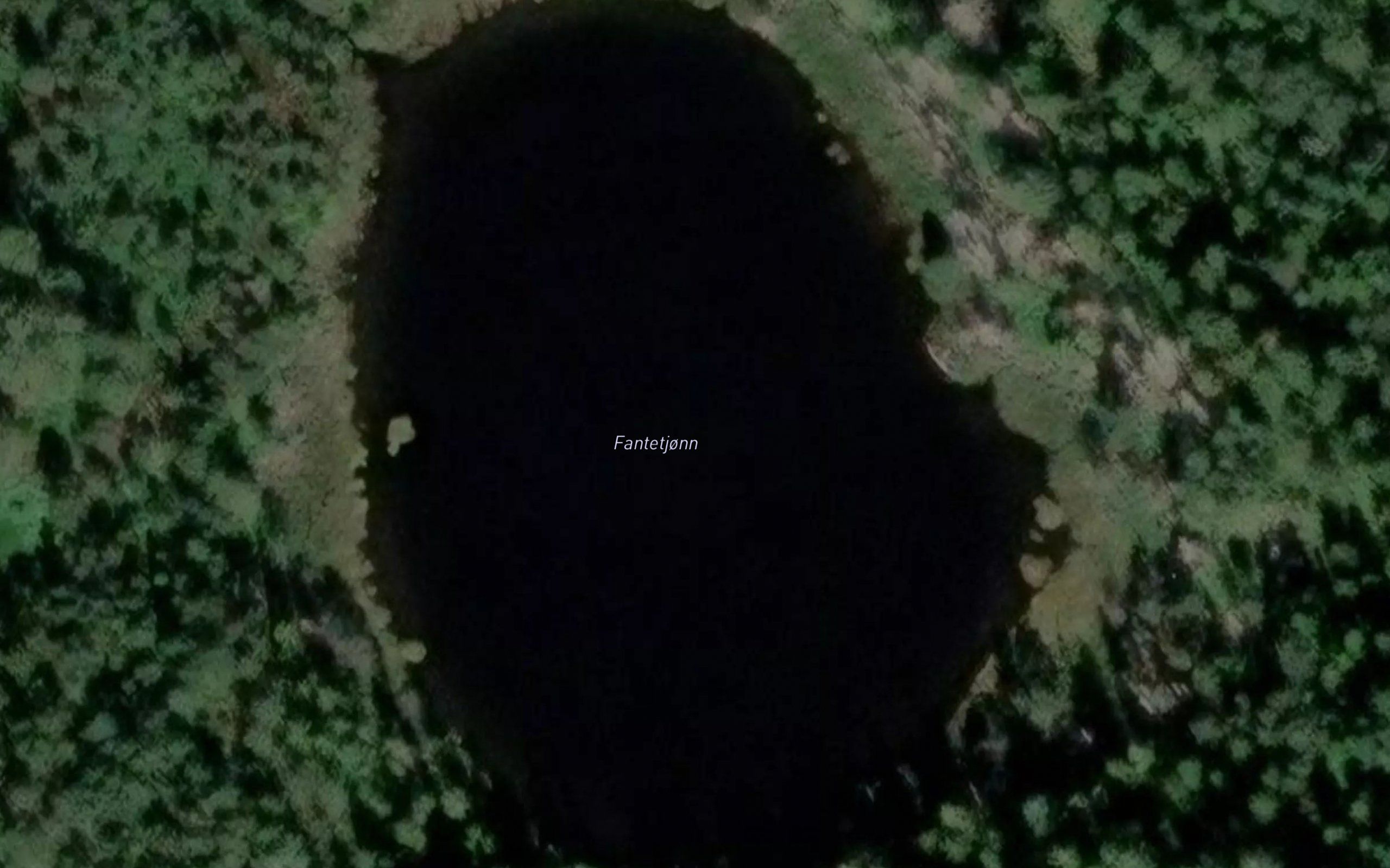 Fantetjonn