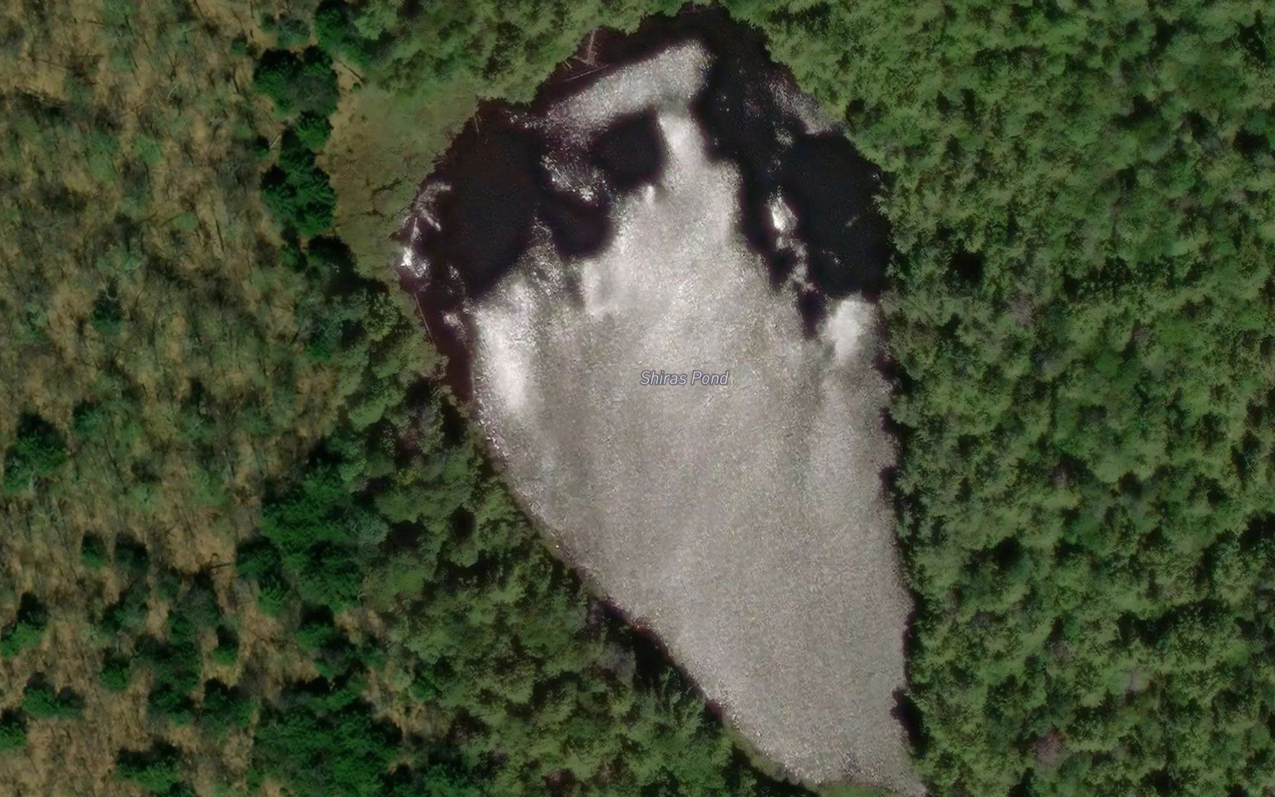 Shiras Pond