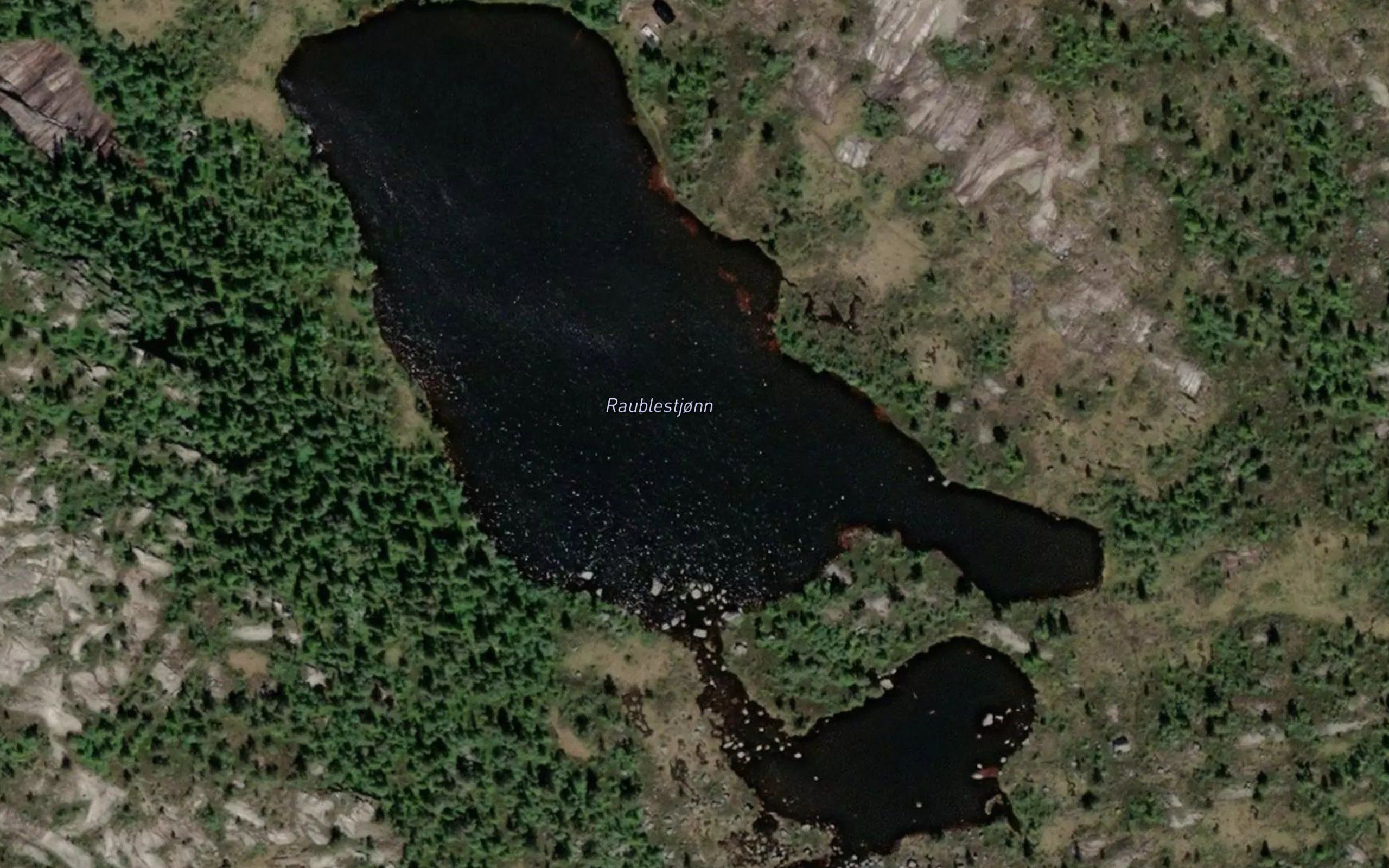 Raudblestjorni